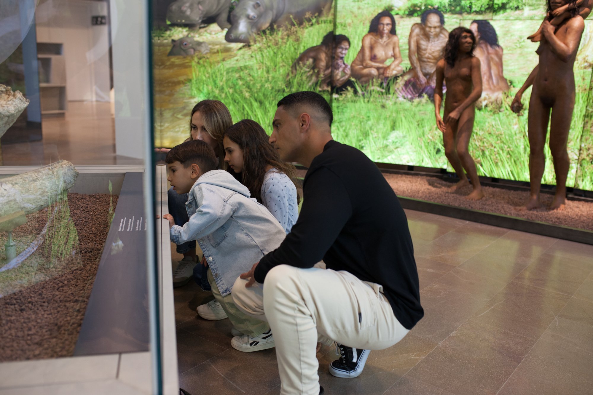 36-mammuthus-barranc-de-la-boella-canonja-spain-paleonthology-museum-ambito-cero-design-paleontologia.jpg