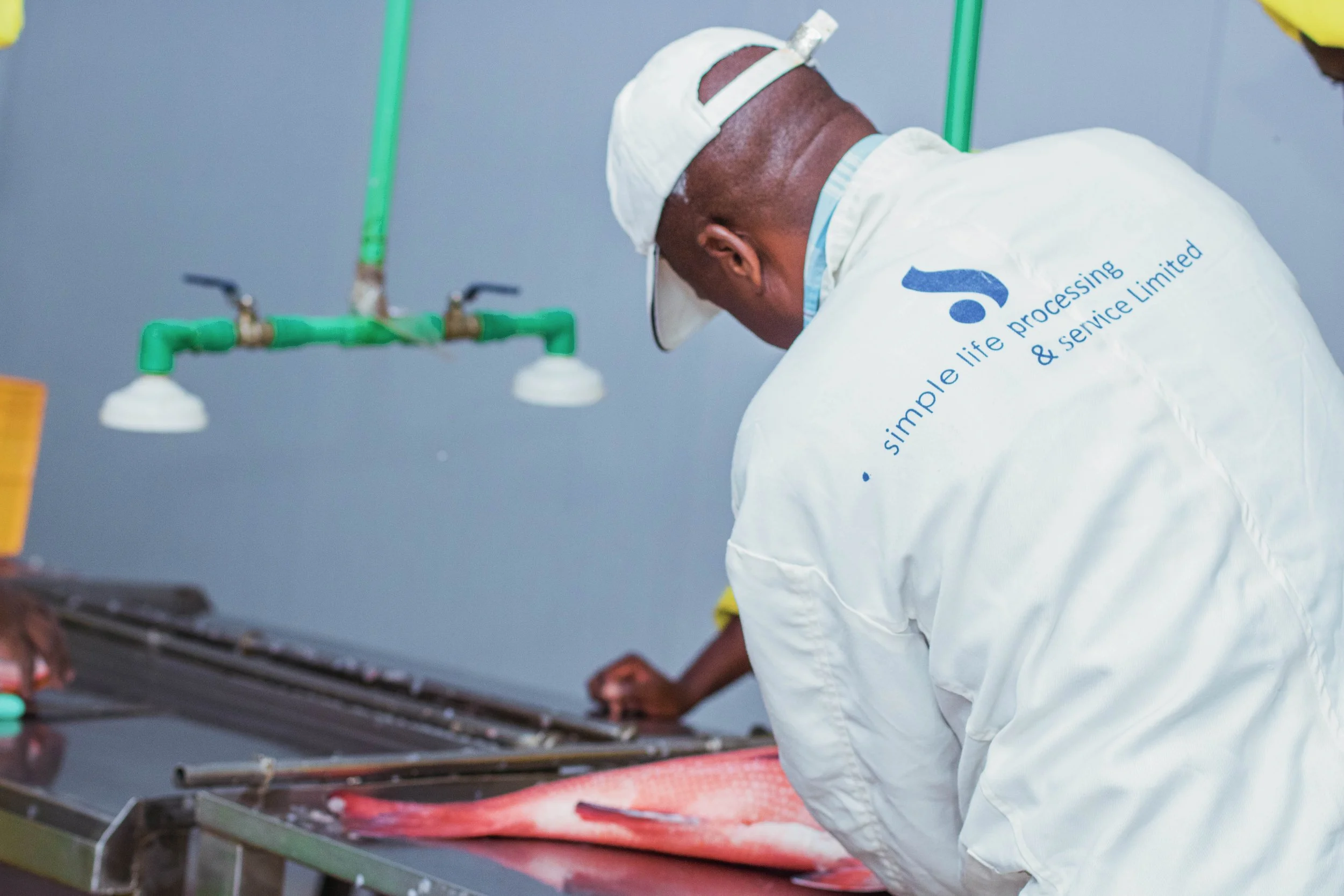 About Us | Kumbatia Seafood