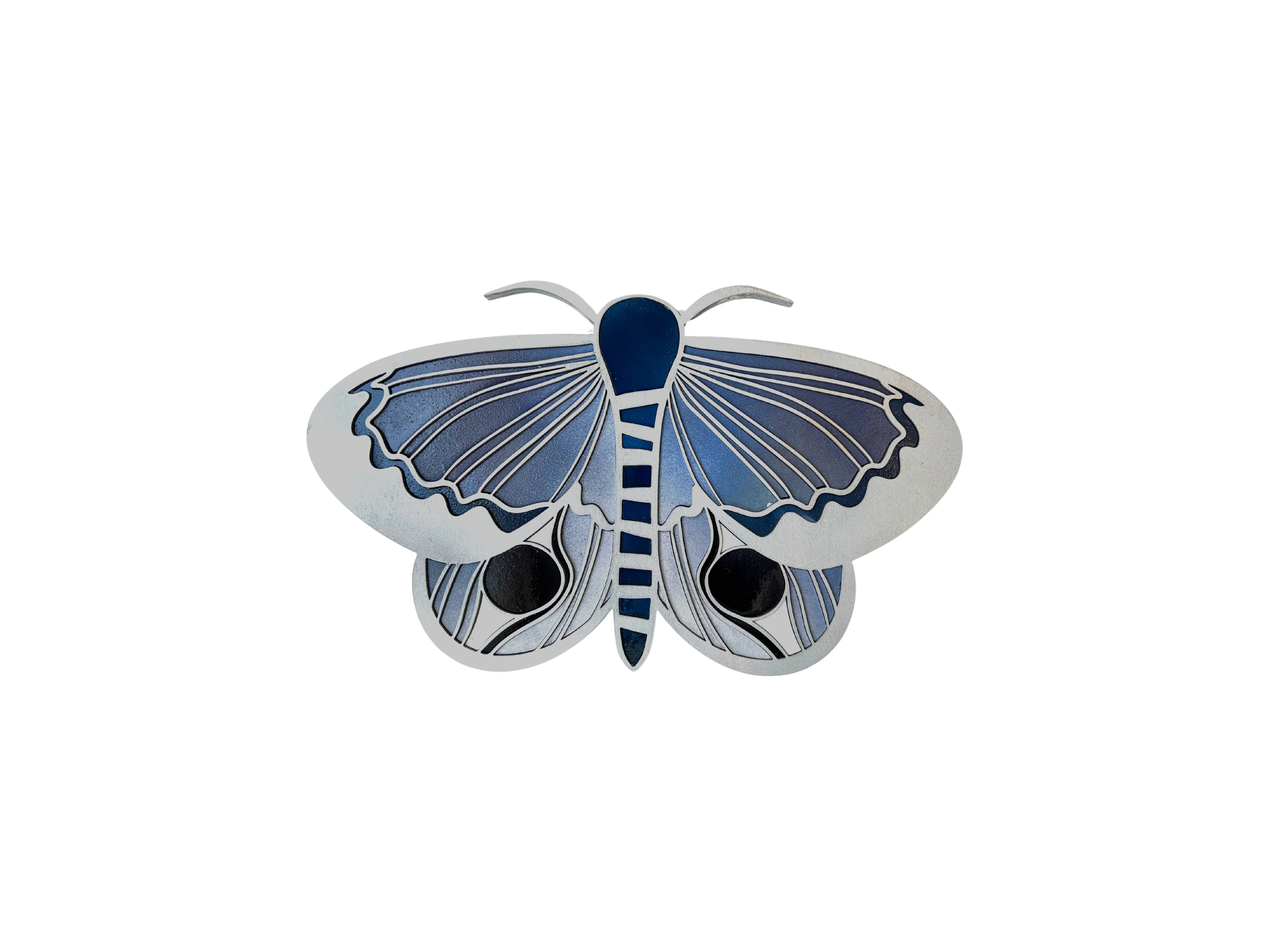 Winged (Small Winter Moth)