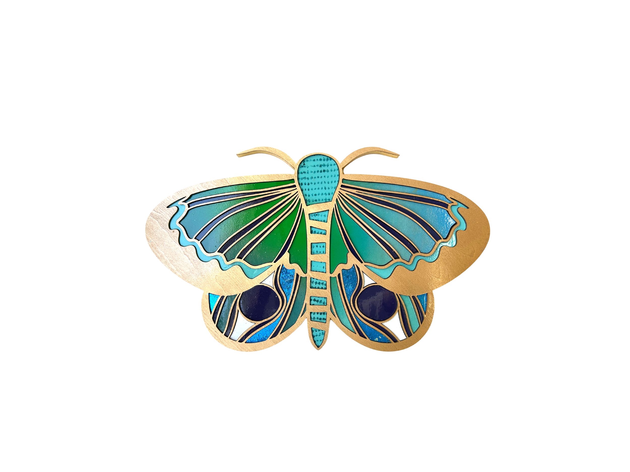 Winged (Small Spring Moth)