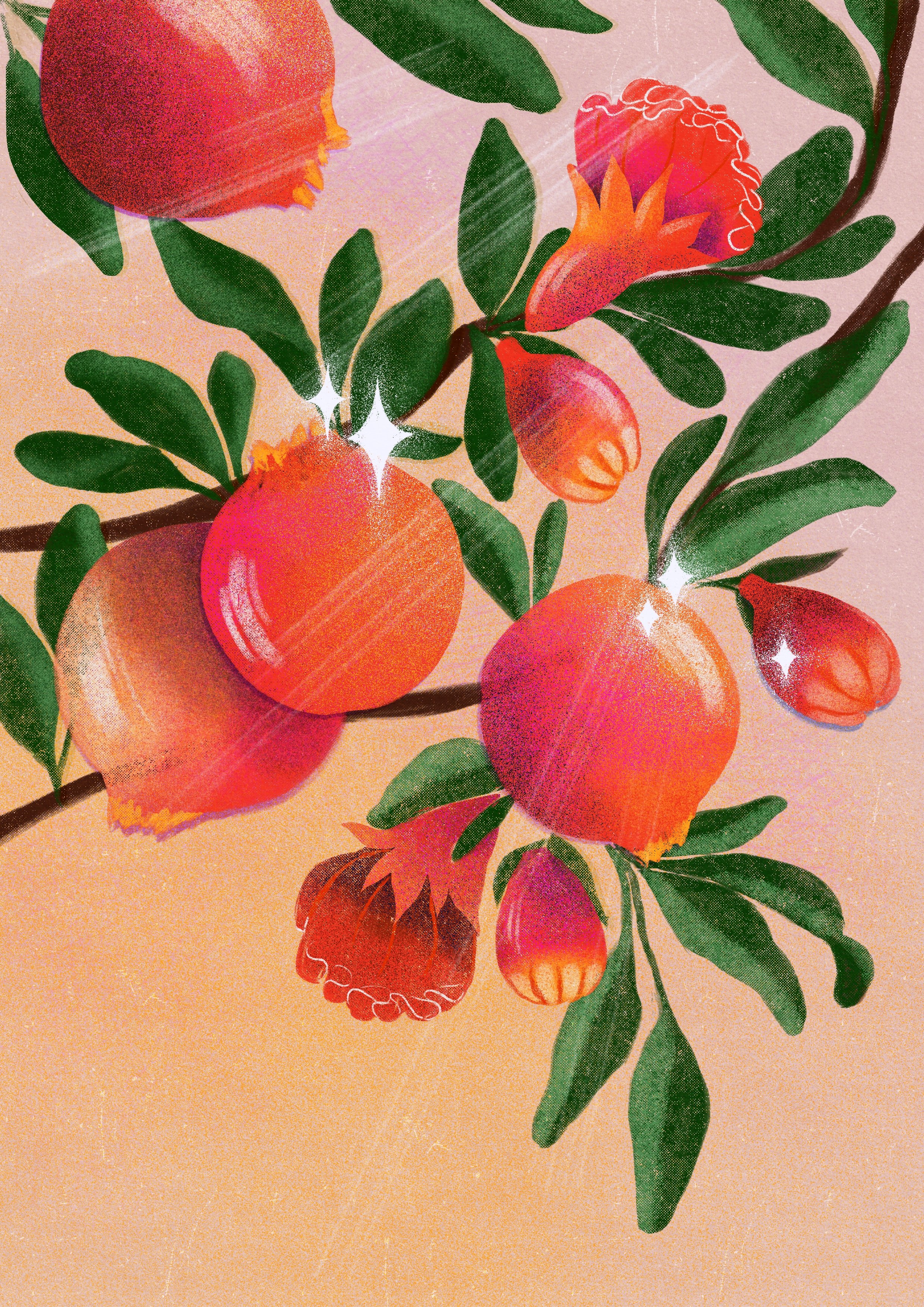 Pomegranate_.jpg