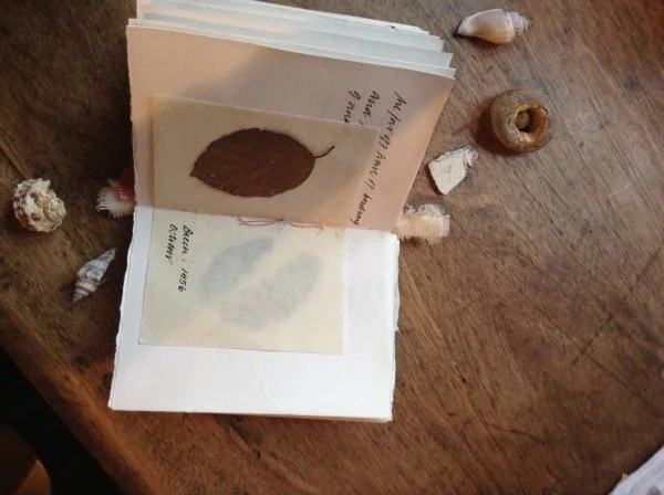 image5.jpeg