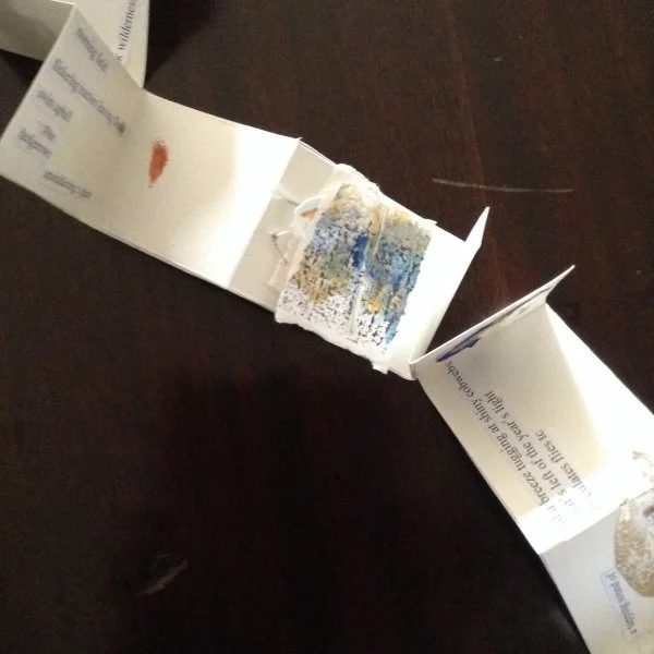 image14.jpeg