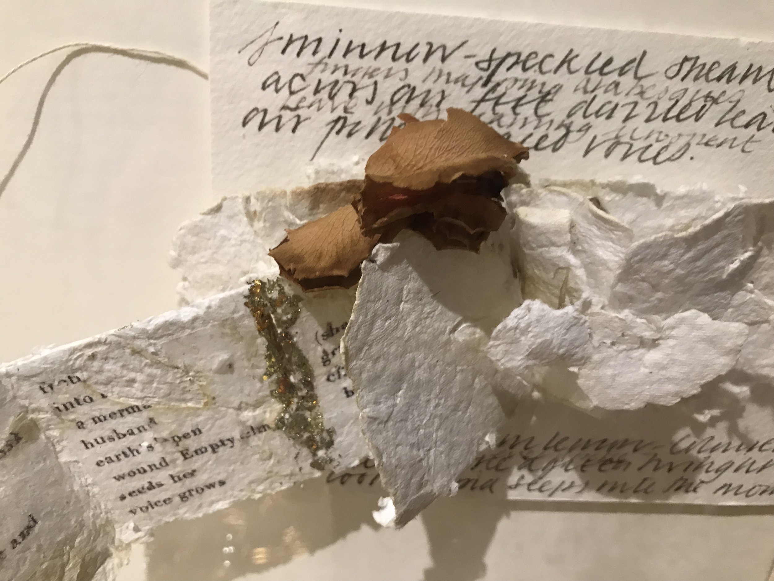 Pwllpeiran - detail.