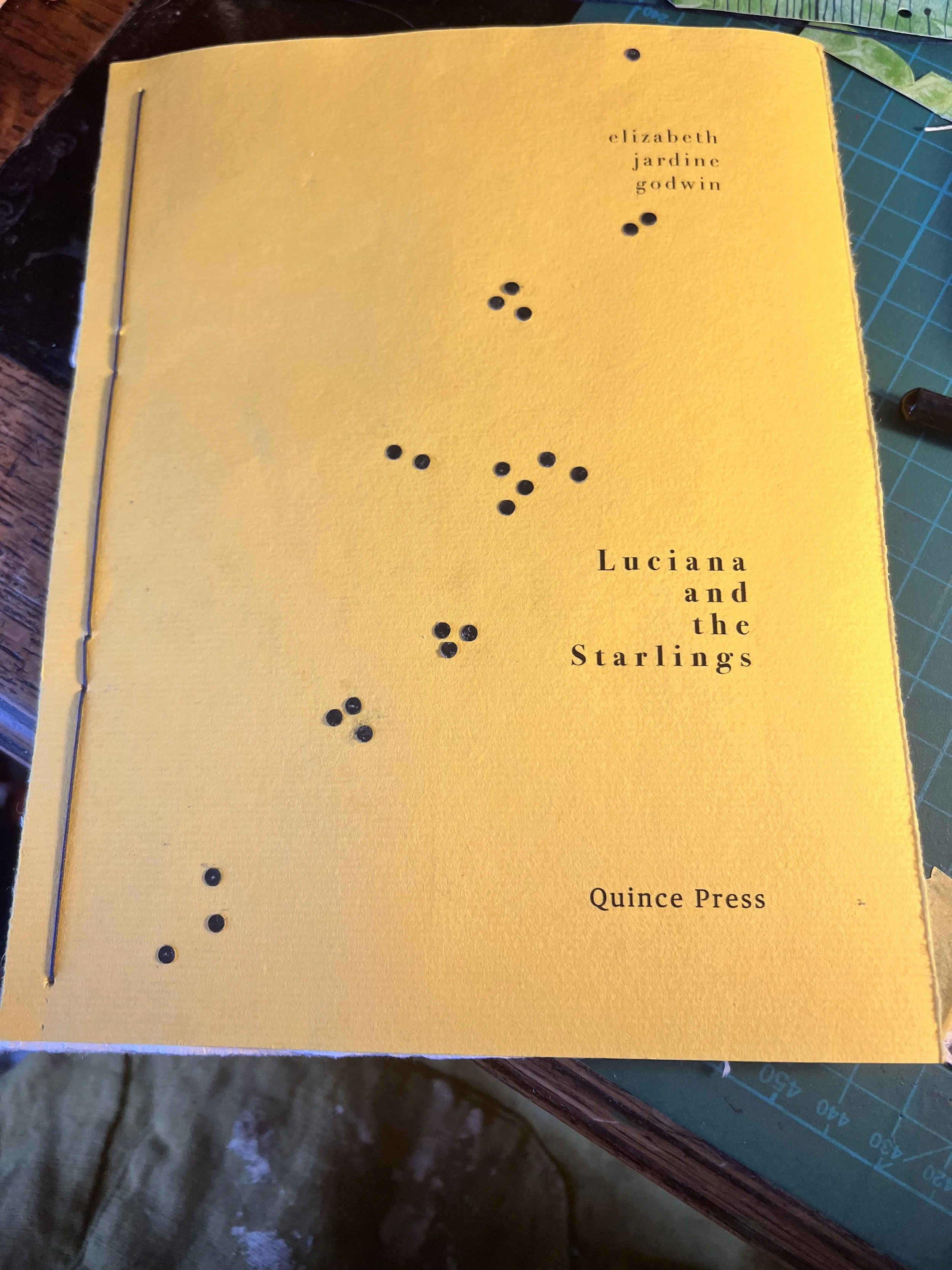 A short story- Luciana and the Starlings