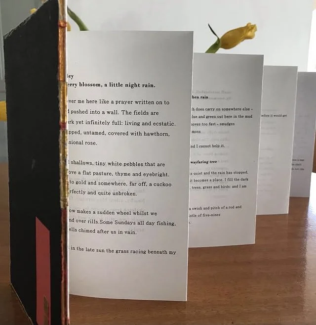 Stories of Home In Blue and Gold -First edition.