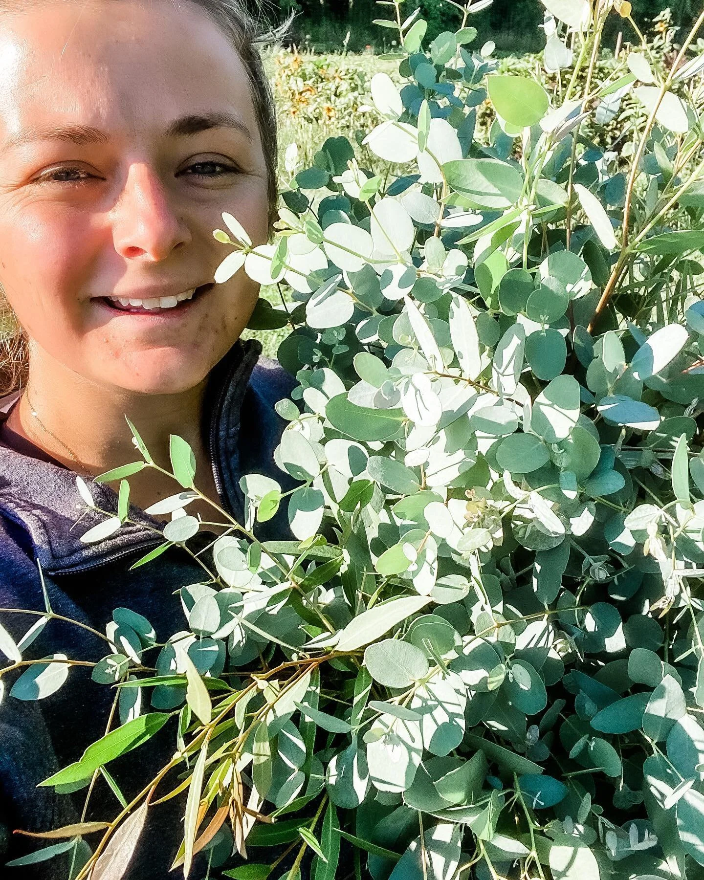 Barn Blooms Flower Farm
