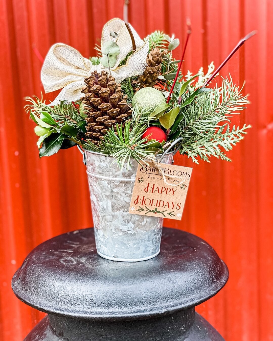 The flower stand is open today and tomorrow 9-6! We have limited wreaths available, but lots of small and large centerpieces and amaryllis planters that will bloom within the next few weeks! They make great hostess gifts 🎁 

We are also still collec