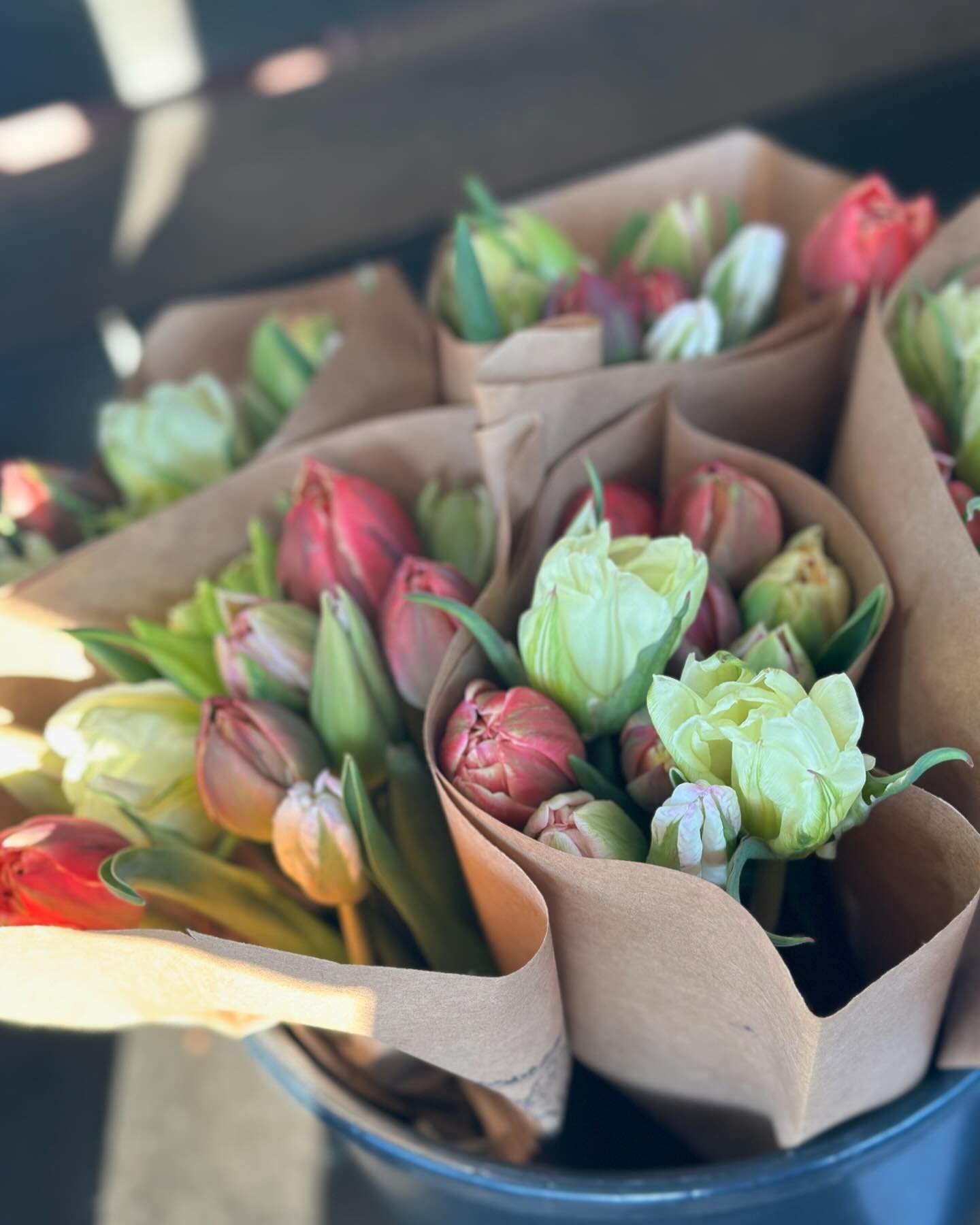 Looking for a flower fix? Just dropped off beautiful tulip bunches to @sweetsbysarahbakery in Fair Haven! 

They don&rsquo;t look like much now, but these tulips will open to be big and beautiful in no time. I grew some new types and colors this year