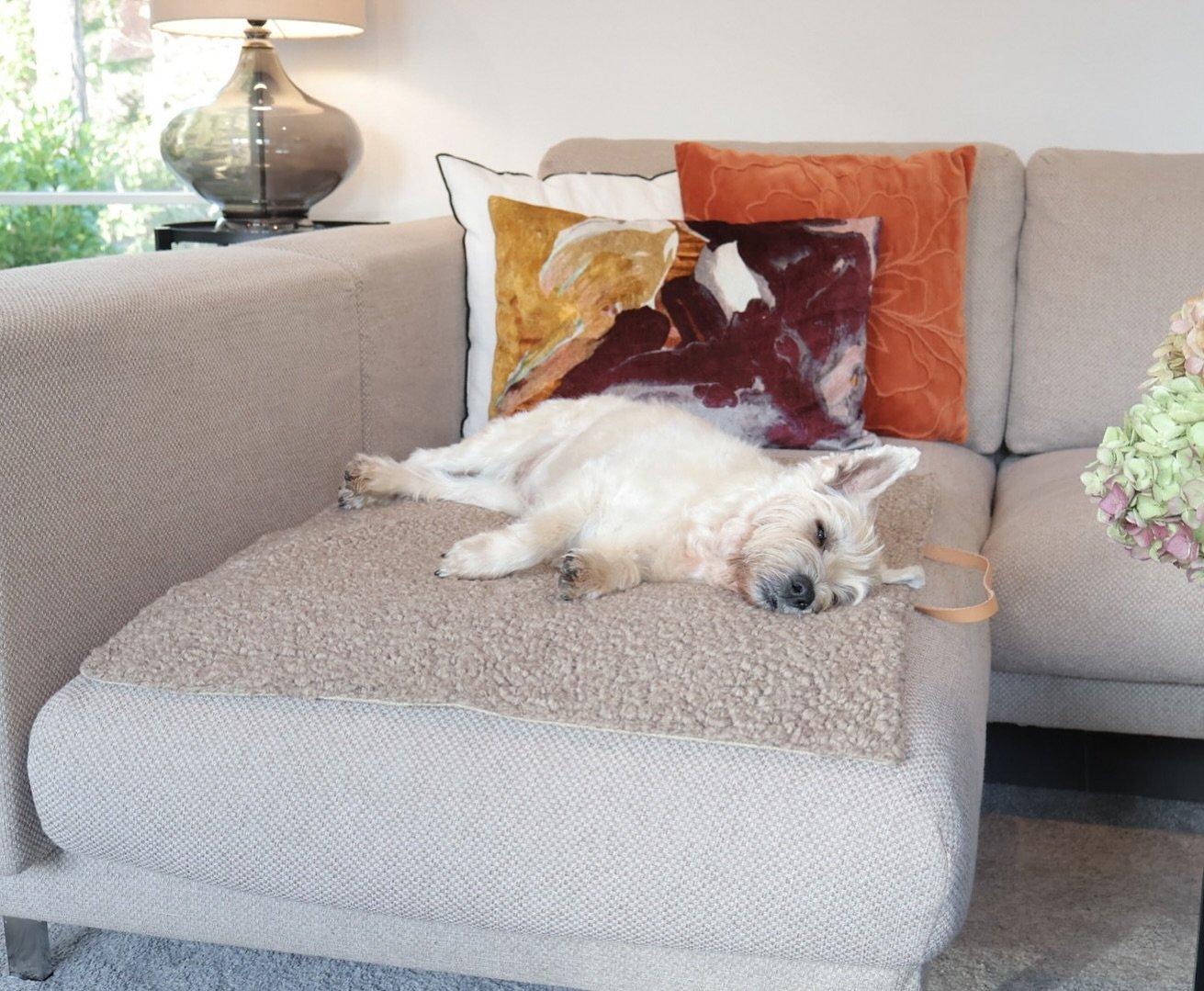 Did you know that our travel mats make great cosy furniture protectors too? 🐶✨ 

They are perfect for when you are at home, when out at a restaurant, or as a portable bed for your dog while travelling. 
Our selection of high-quality travel mats will