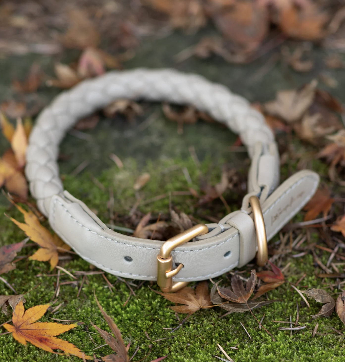 Screenshot 2024-05-31 at 00.16.08.png