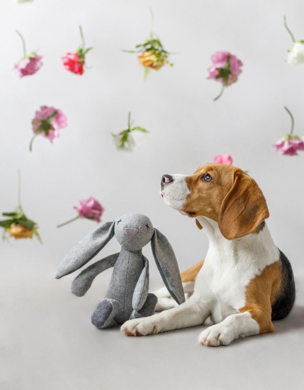 Screenshot 2024-10-10 at 16.41.05.png