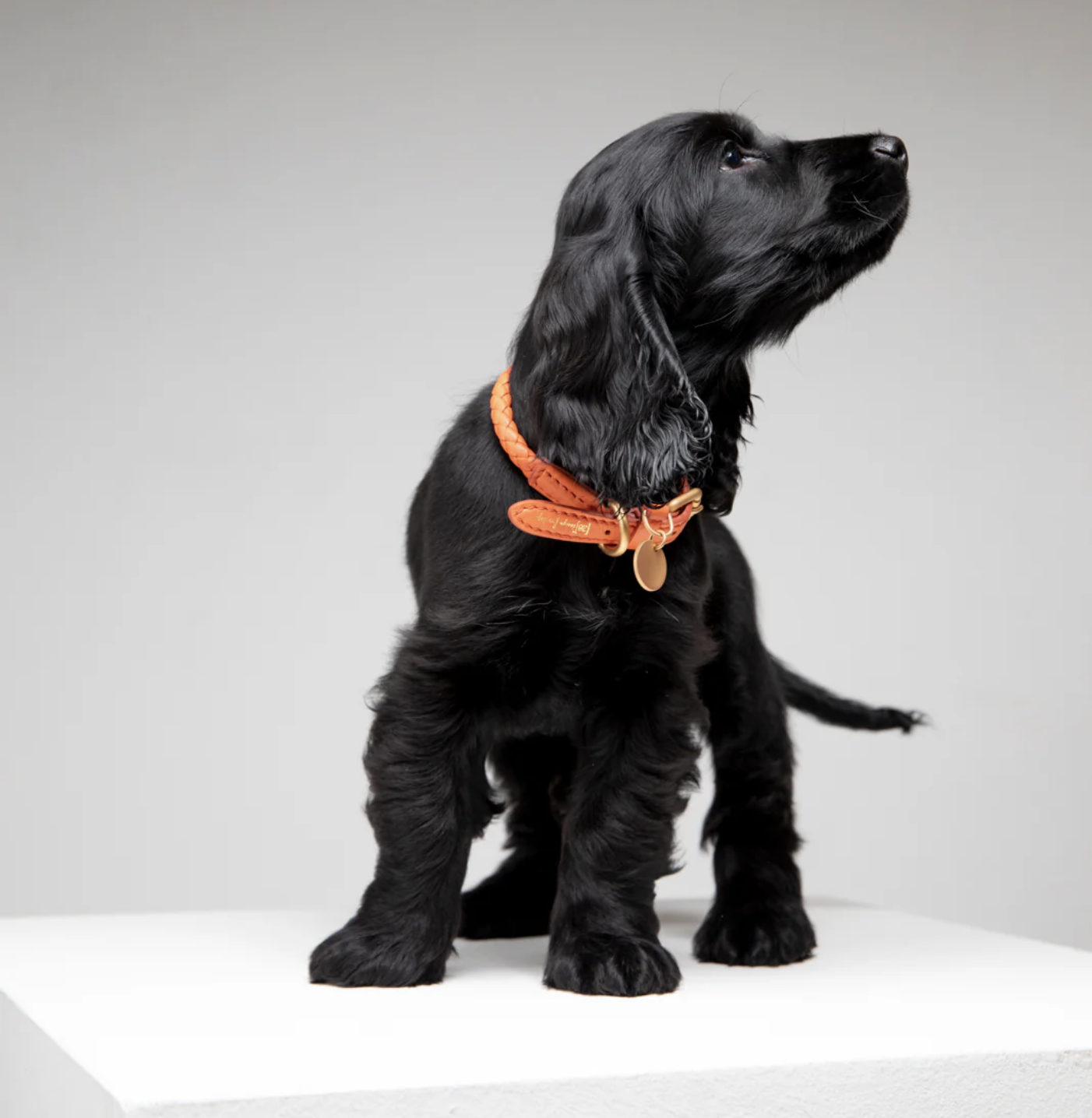 Screenshot 2024-09-11 at 12.41.43.png