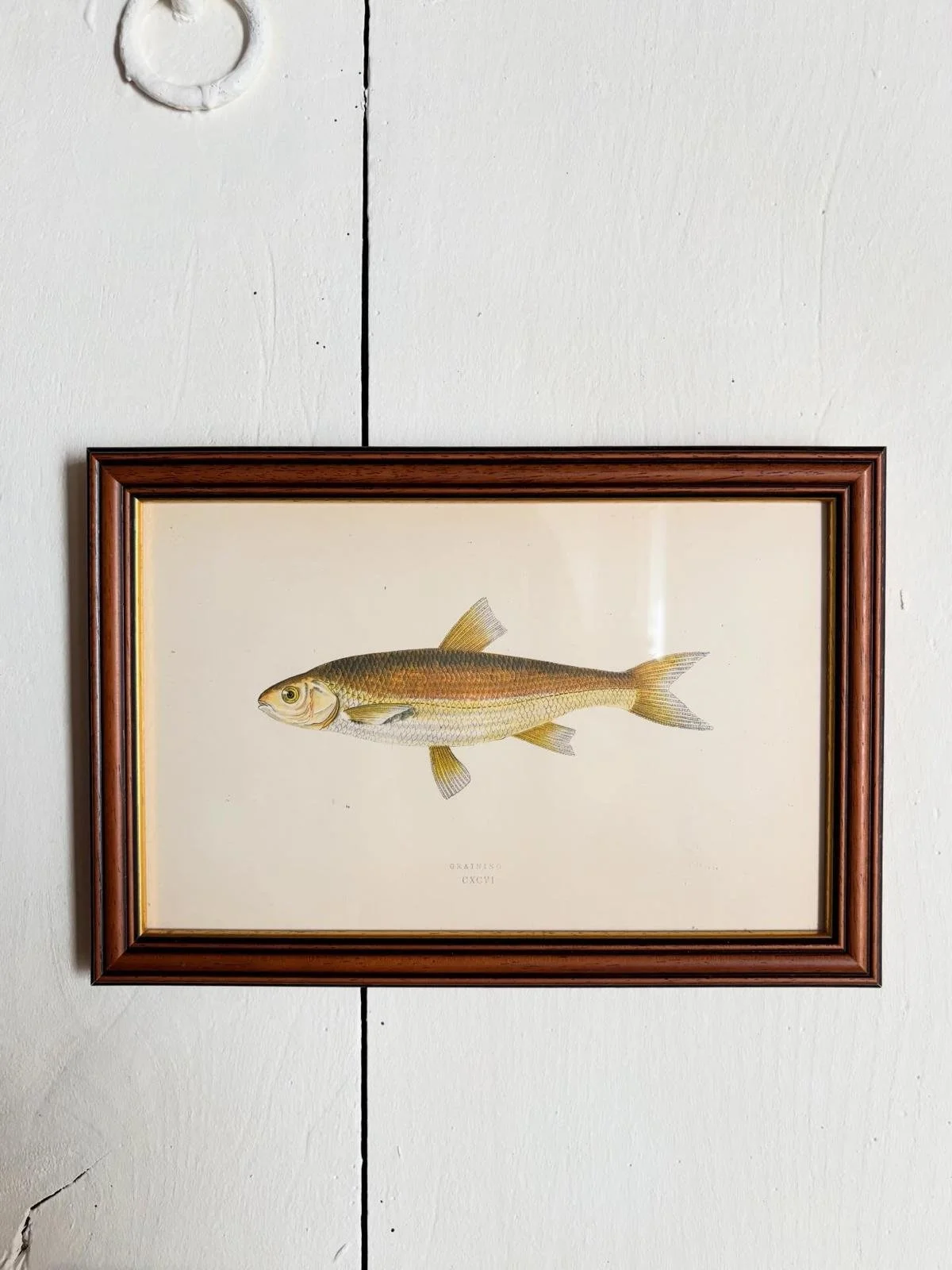 WhatsApp Image 2026-03-16 at 11.28.32 (3).jpeg