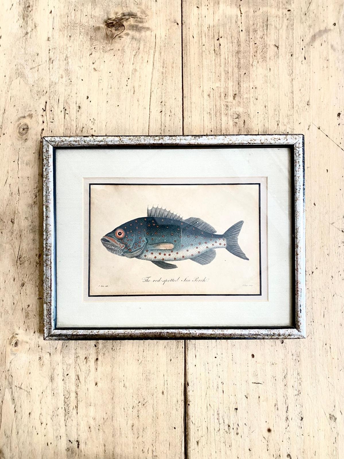 WhatsApp Image 2026-03-16 at 12.25.48 (1).jpeg