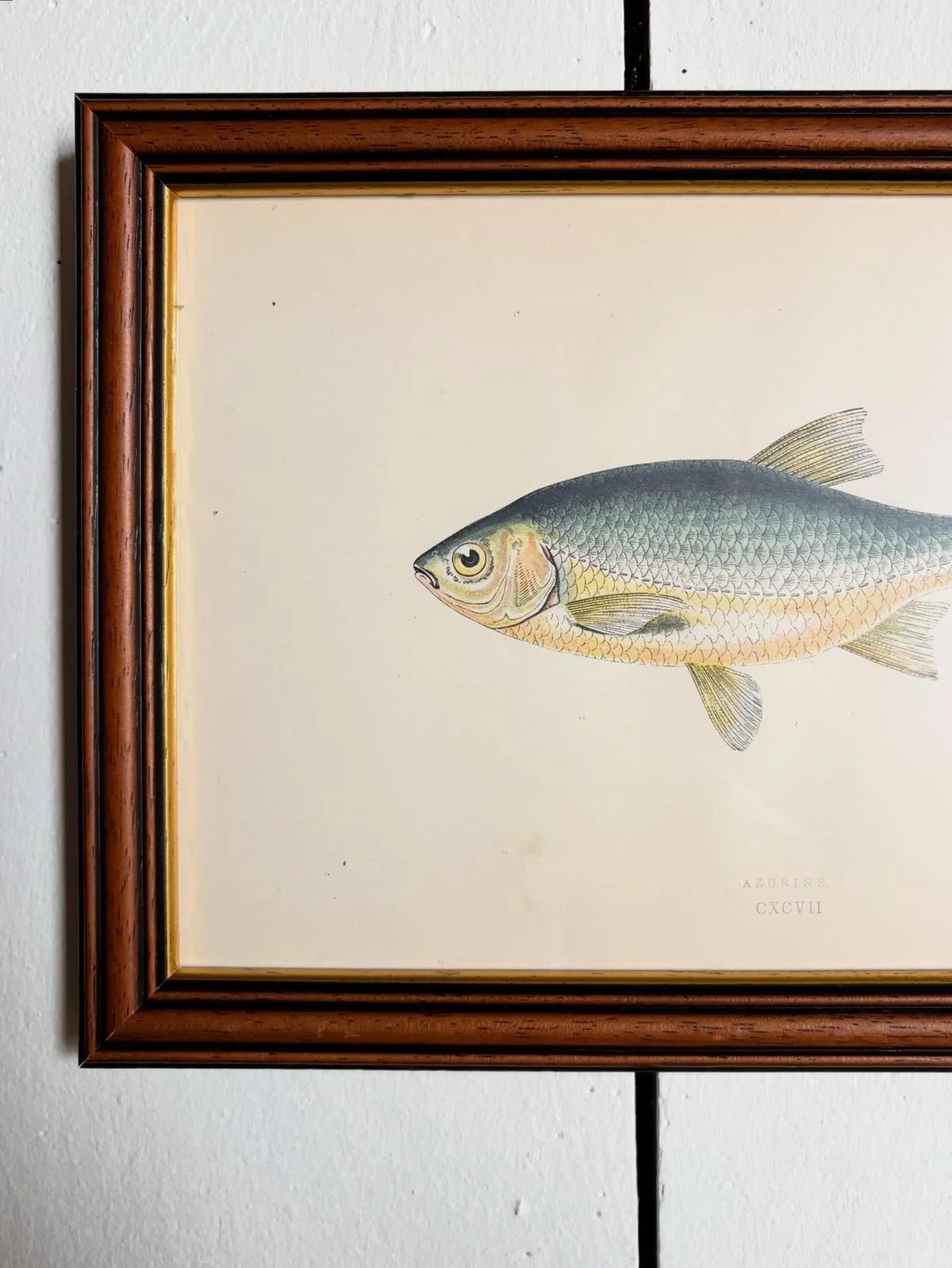 WhatsApp Image 2026-03-16 at 11.28.32 (1).jpeg