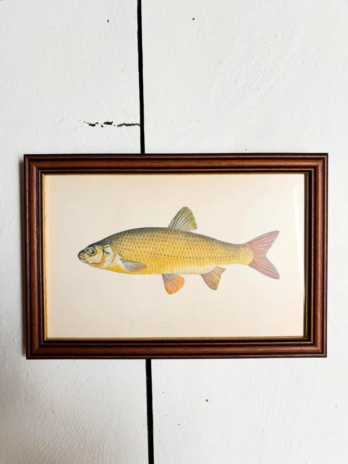 WhatsApp Image 2026-03-16 at 11.28.31 (2).jpeg