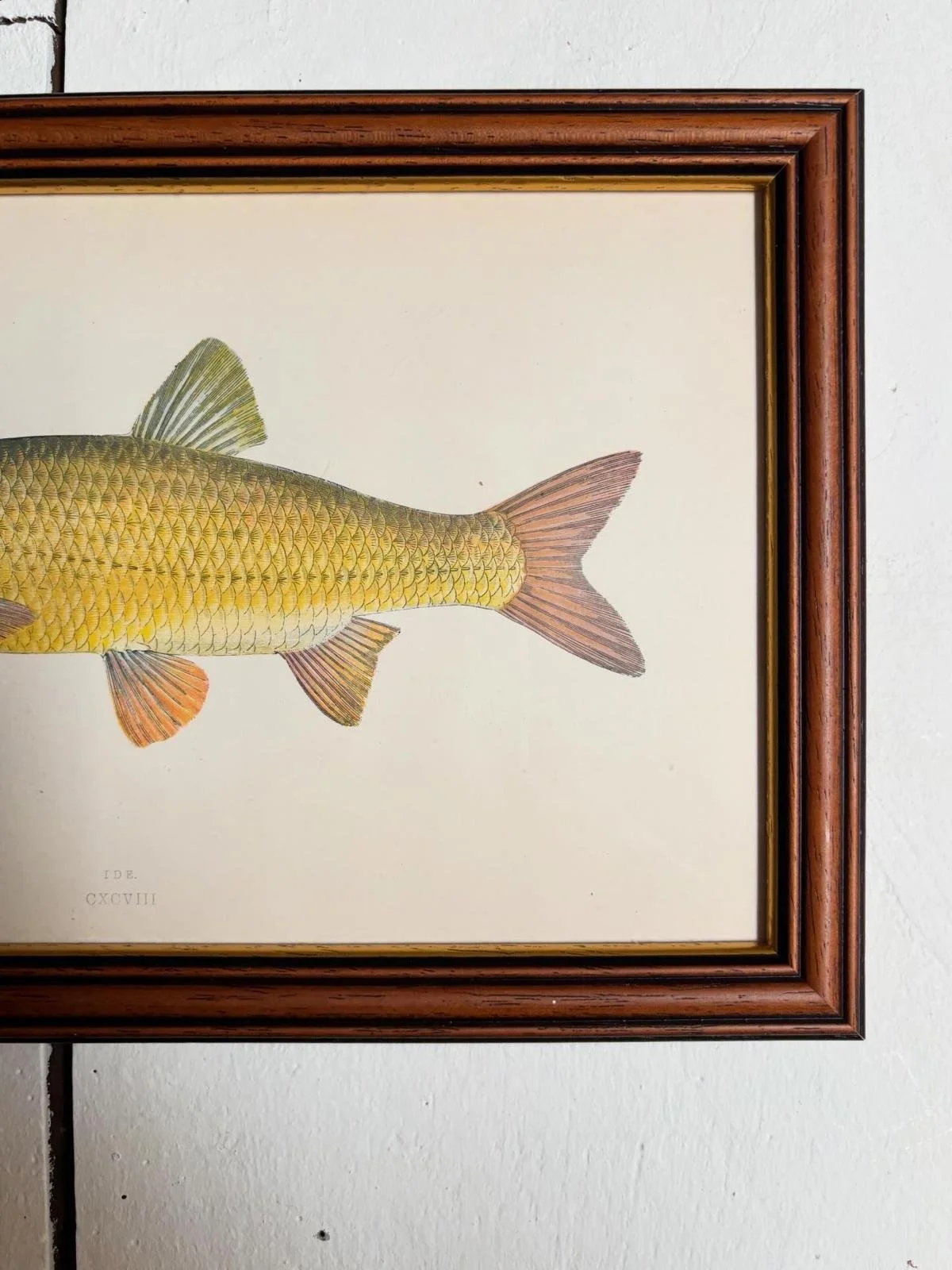 WhatsApp Image 2026-03-16 at 11.28.31 (3).jpeg