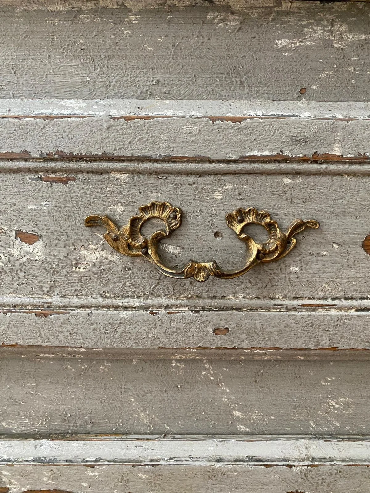 WhatsApp Image 2026-04-24 at 00.37.49 (2).jpeg