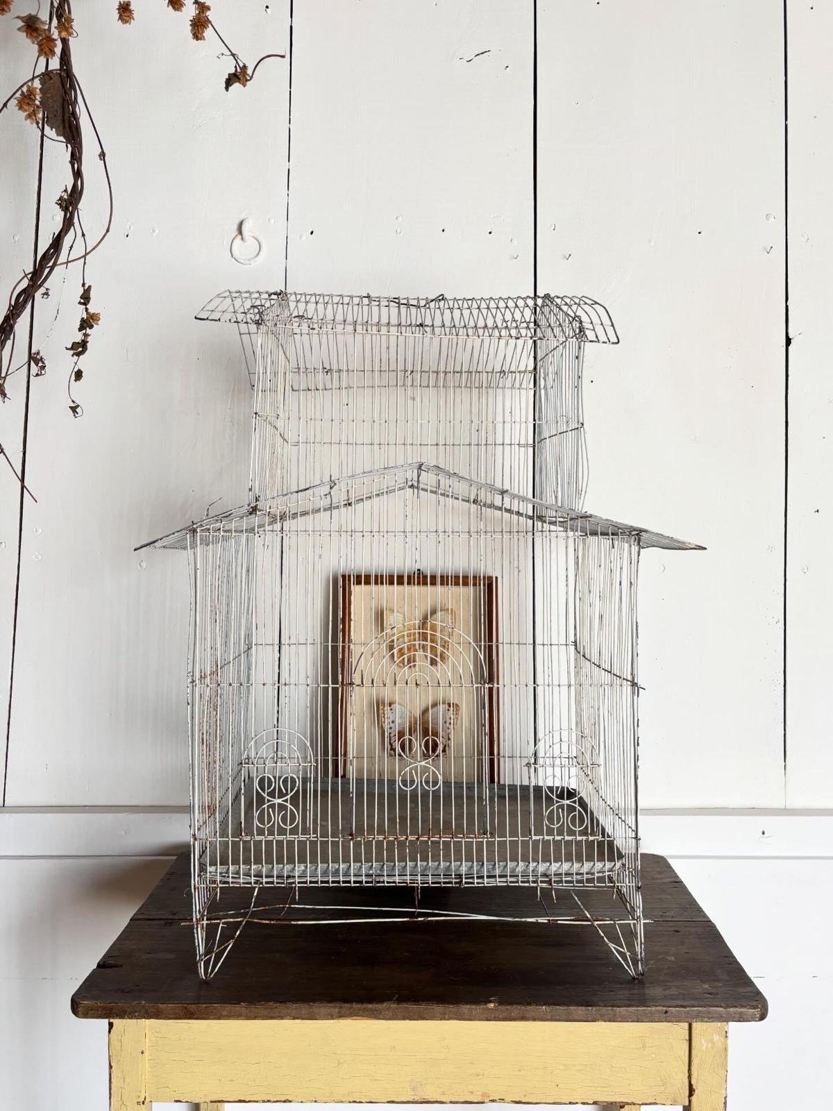 WhatsApp Image 2026-03-16 at 11.44.40 (6).jpeg