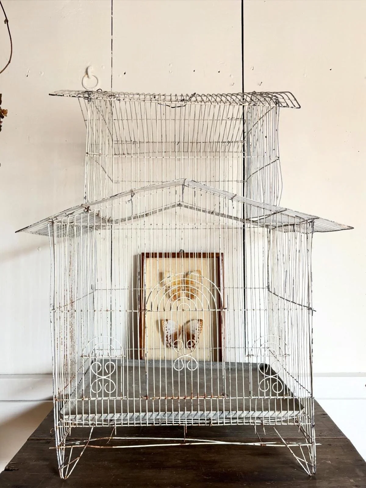 WhatsApp Image 2026-03-16 at 11.44.40 (7).jpeg