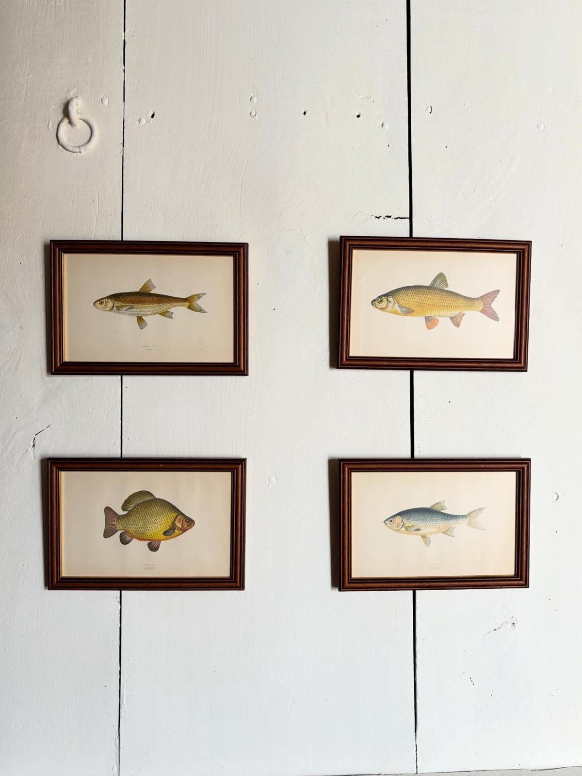 WhatsApp Image 2026-03-16 at 11.28.31.jpeg