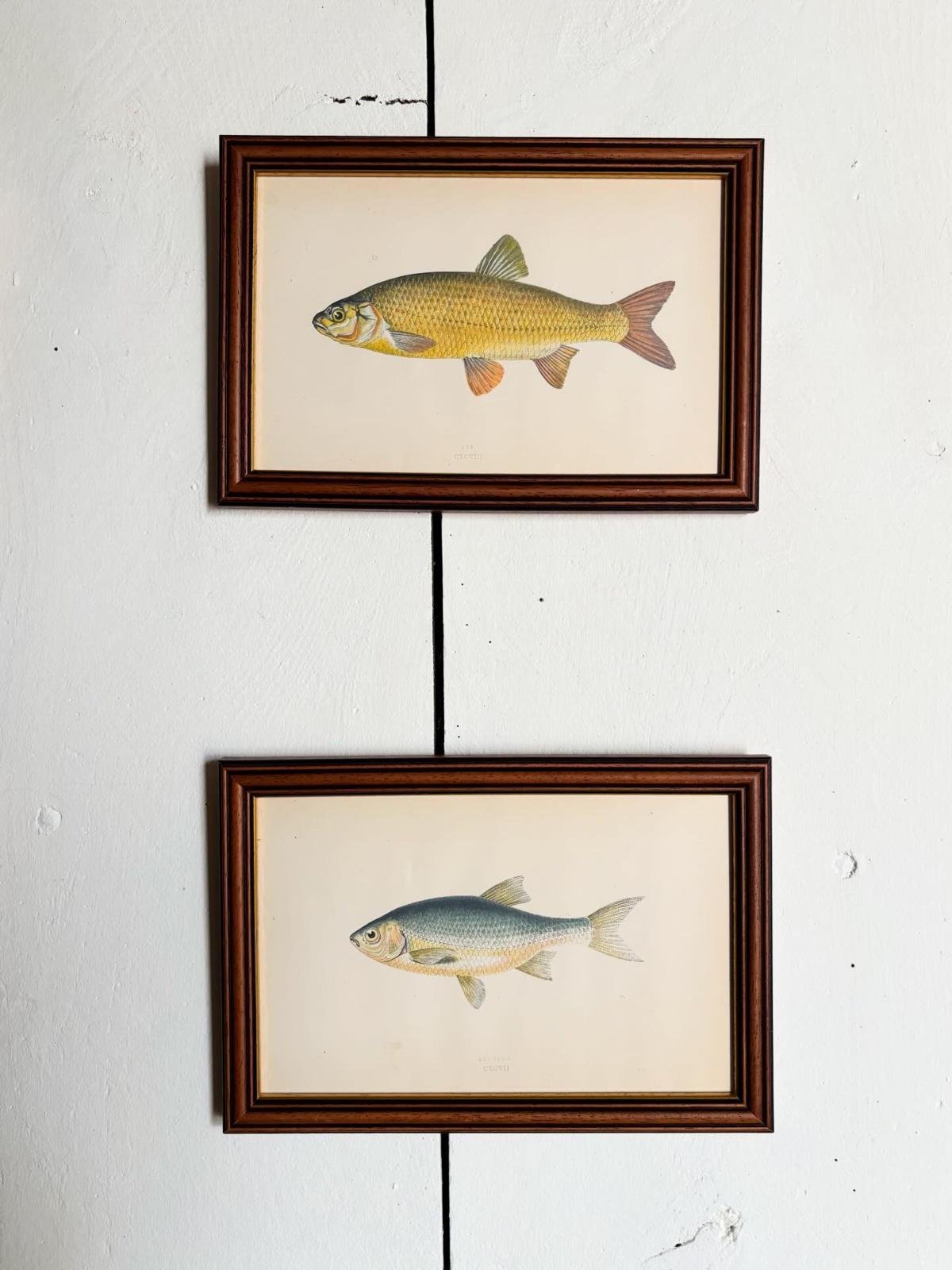 WhatsApp Image 2026-03-16 at 11.28.31 (1).jpeg