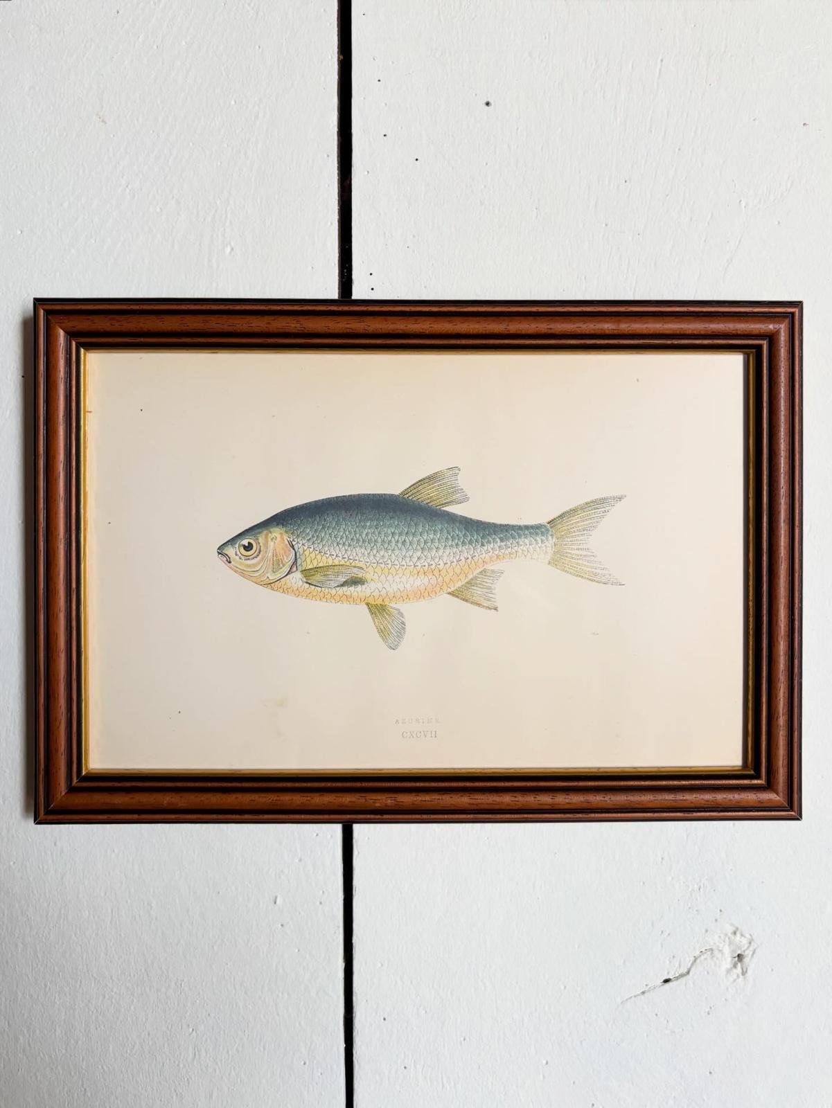 WhatsApp Image 2026-03-16 at 11.28.32.jpeg