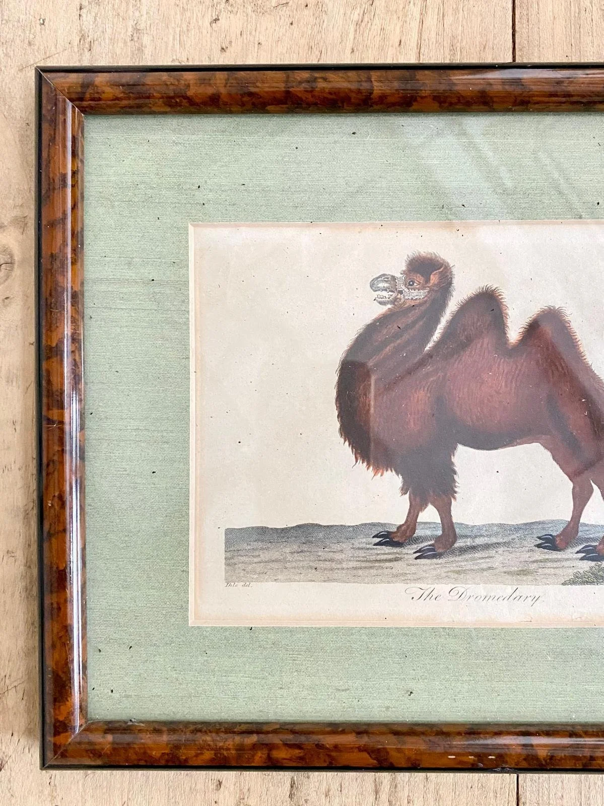 WhatsApp Image 2026-03-16 at 12.25.48.jpeg