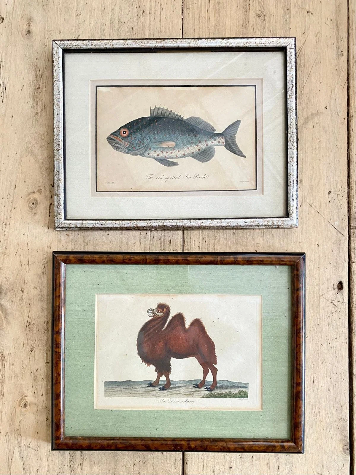 WhatsApp Image 2026-03-16 at 12.25.49 (12).jpeg