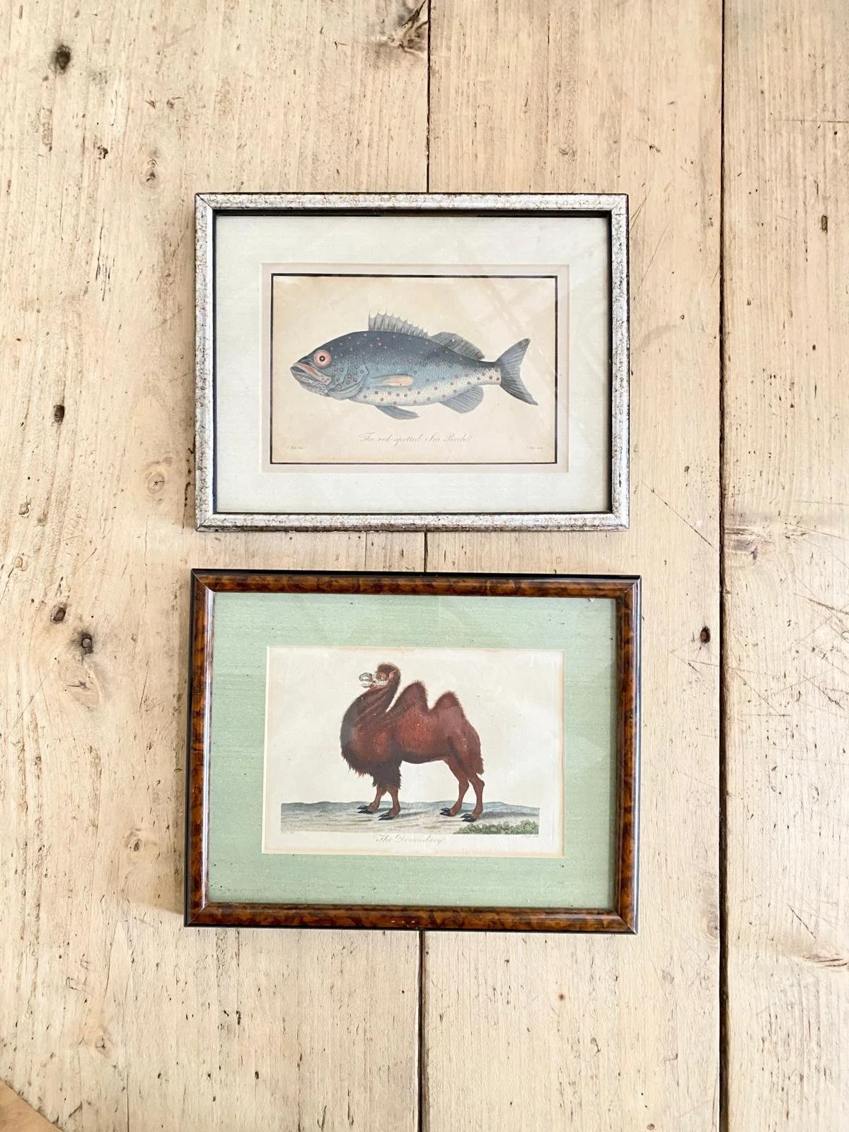 WhatsApp Image 2026-03-16 at 12.25.49 (10).jpeg