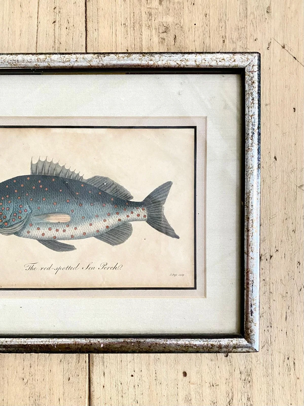 WhatsApp Image 2026-03-16 at 12.25.48 (2).jpeg