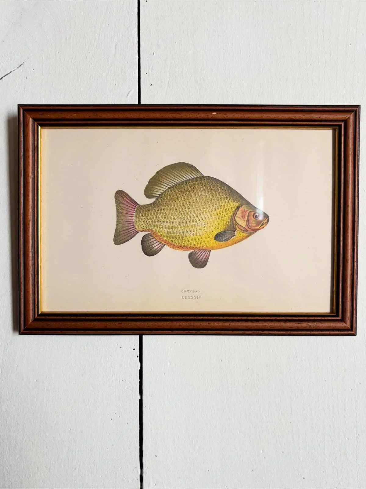 WhatsApp Image 2026-03-16 at 11.28.32 (2).jpeg