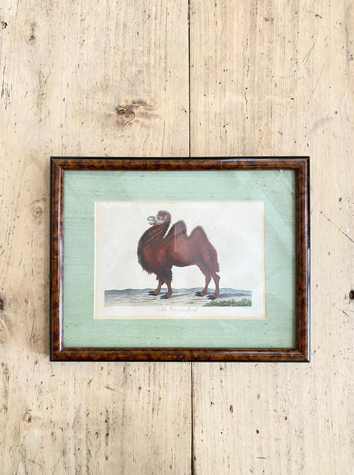 WhatsApp Image 2026-03-16 at 12.25.49 (13).jpeg