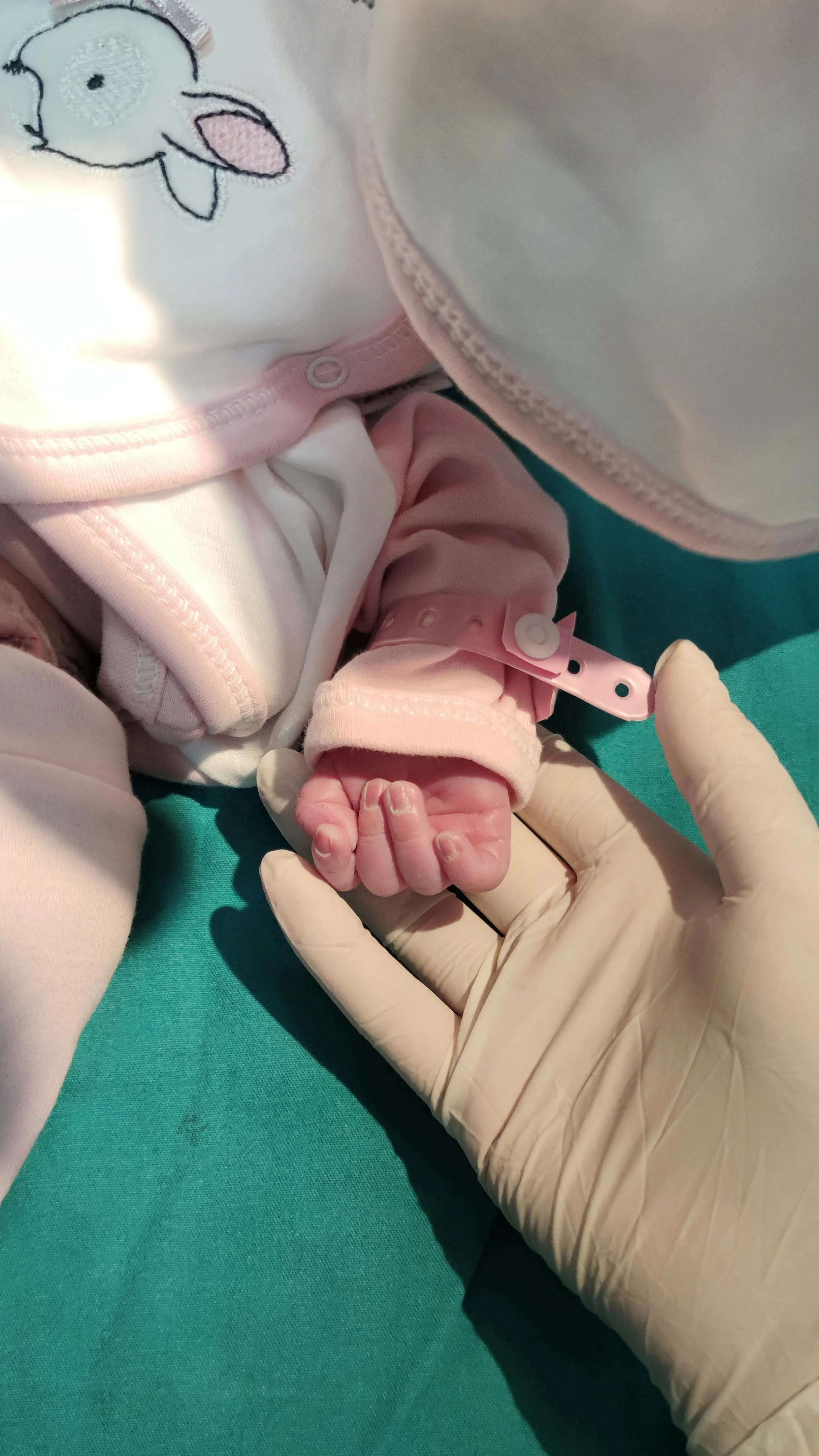 A newborn baby's hand being held by the gloved hand of medical staff