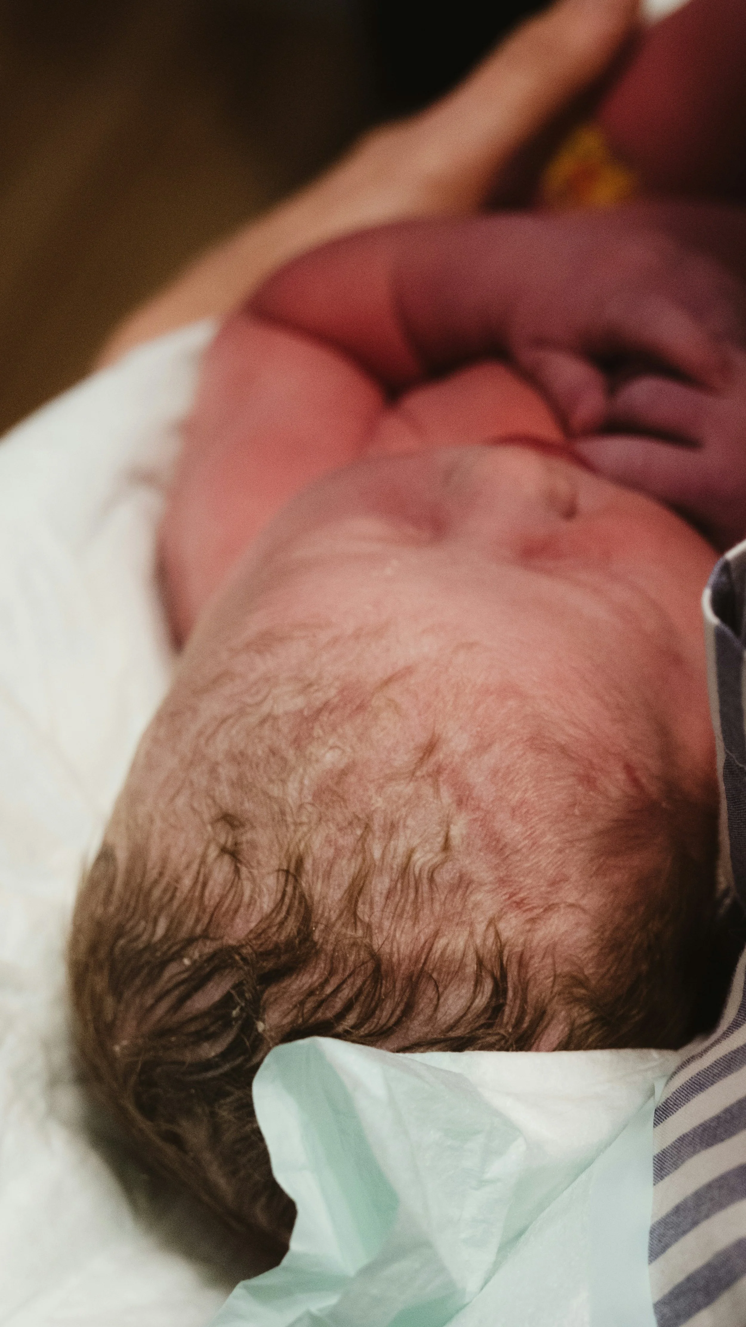 A newborn baby lay in a hospital cot