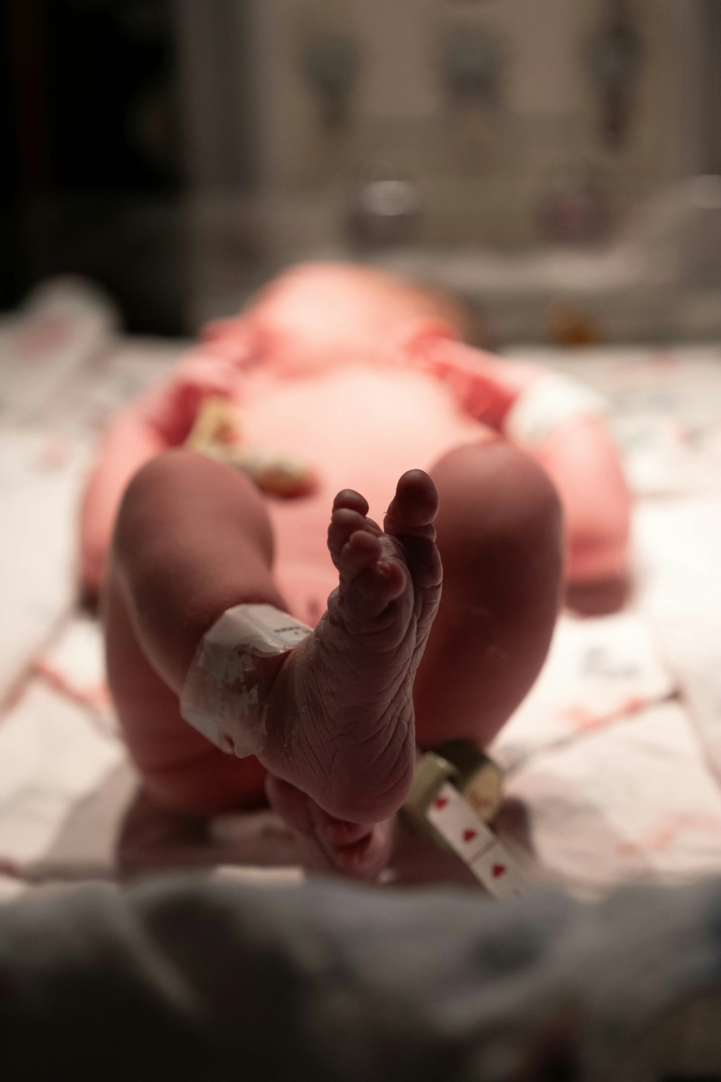 Newborn baby's feet laid in a hospital crib