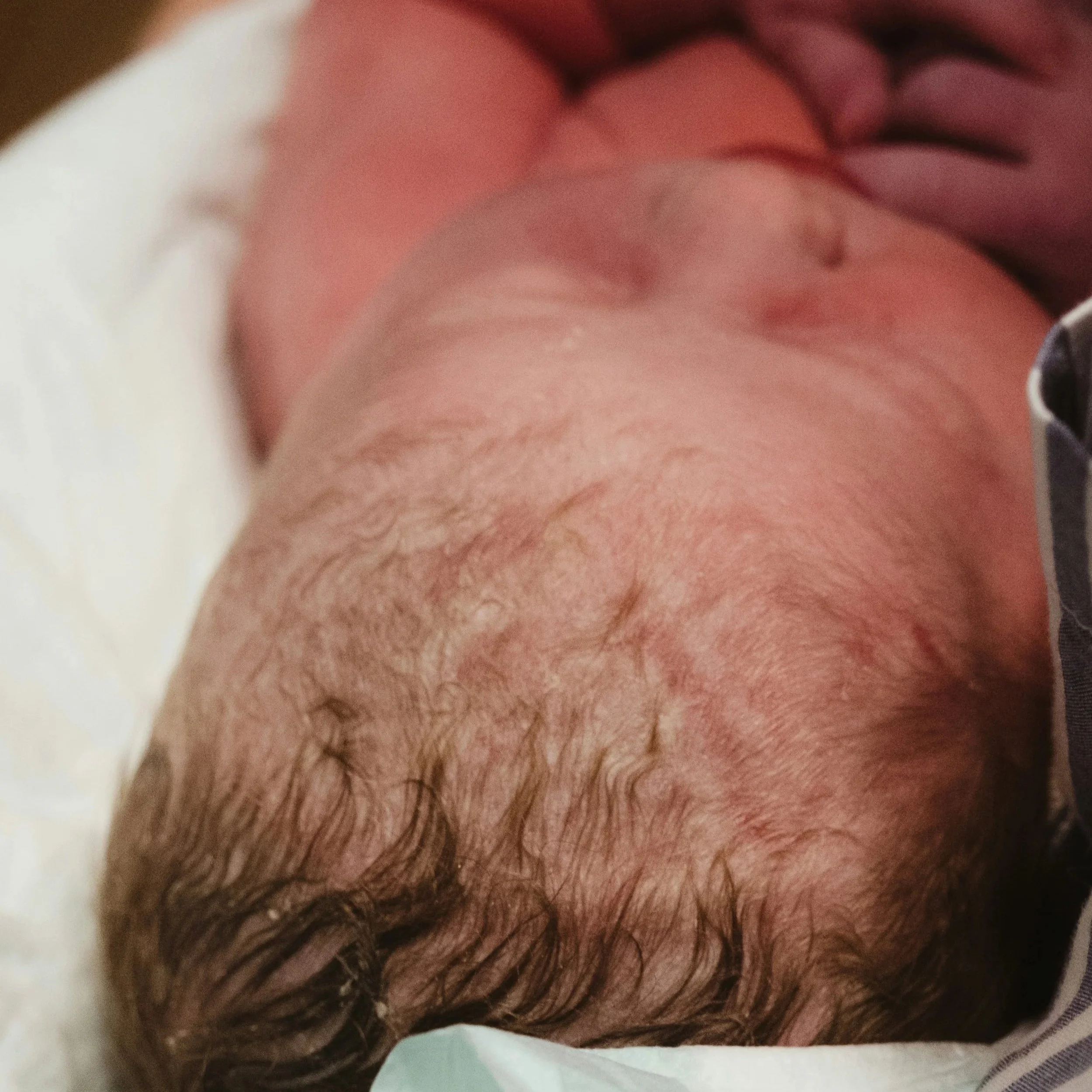 Newborn baby, top of baby's head