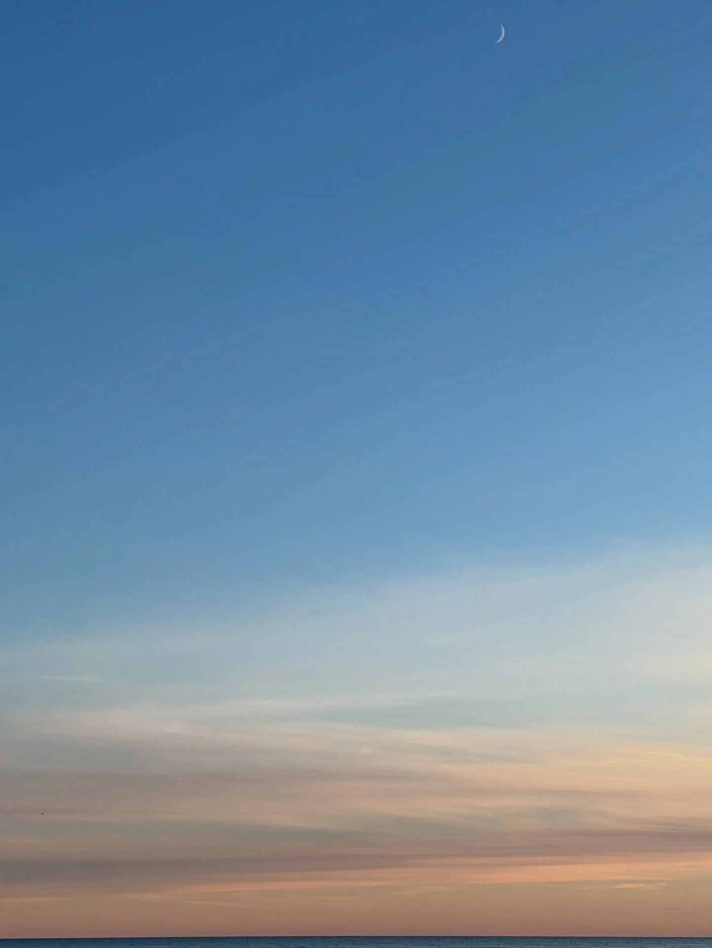 Winter walks are good for the soul ❄️