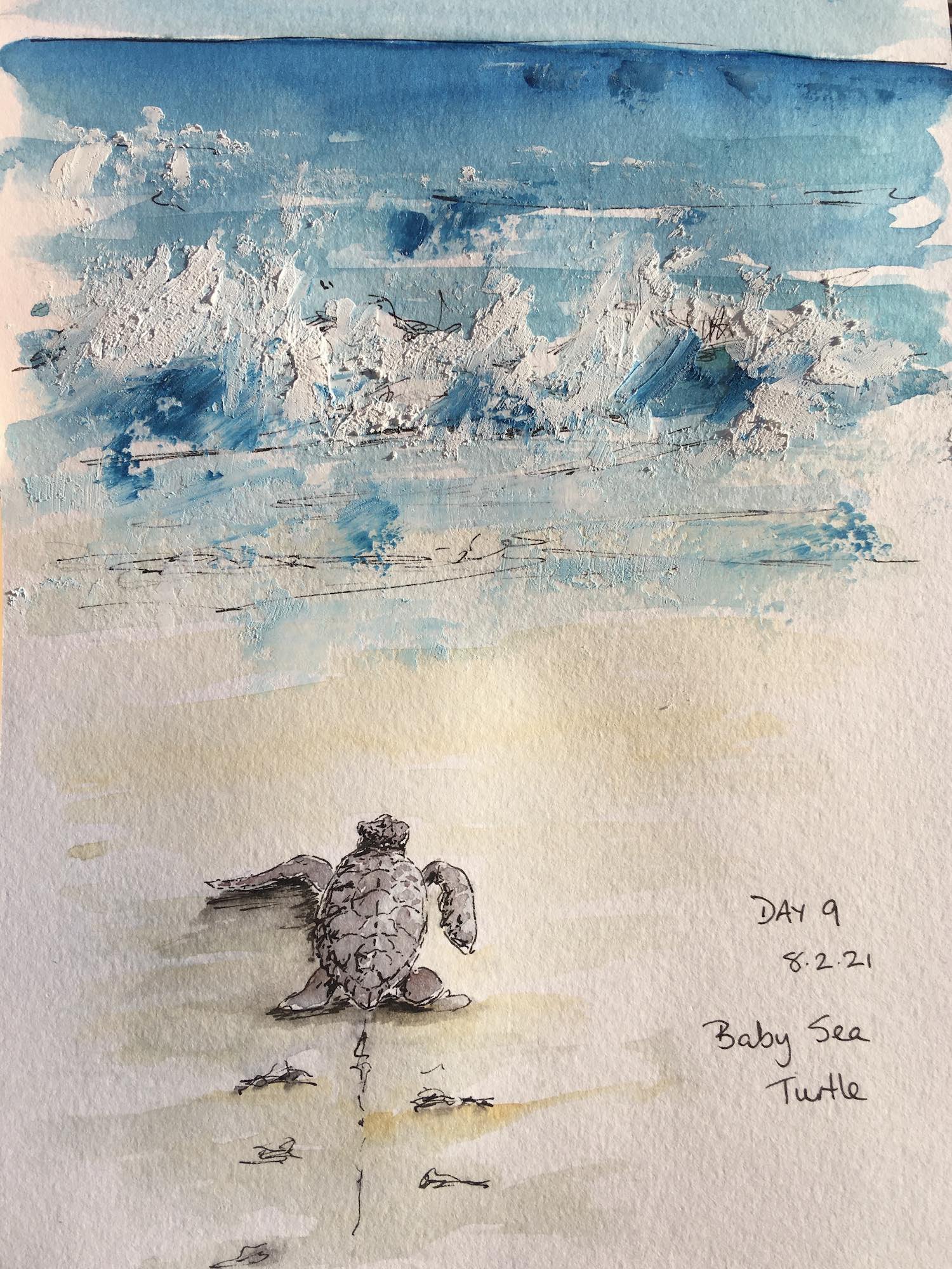 Baby Sea Turtle mixed media