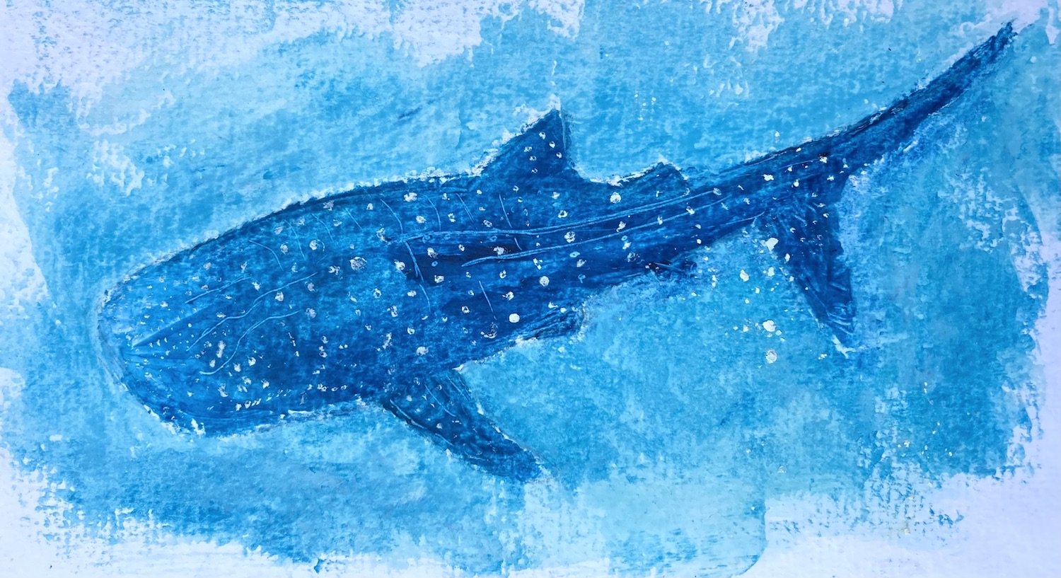 Whale Shark mixed media