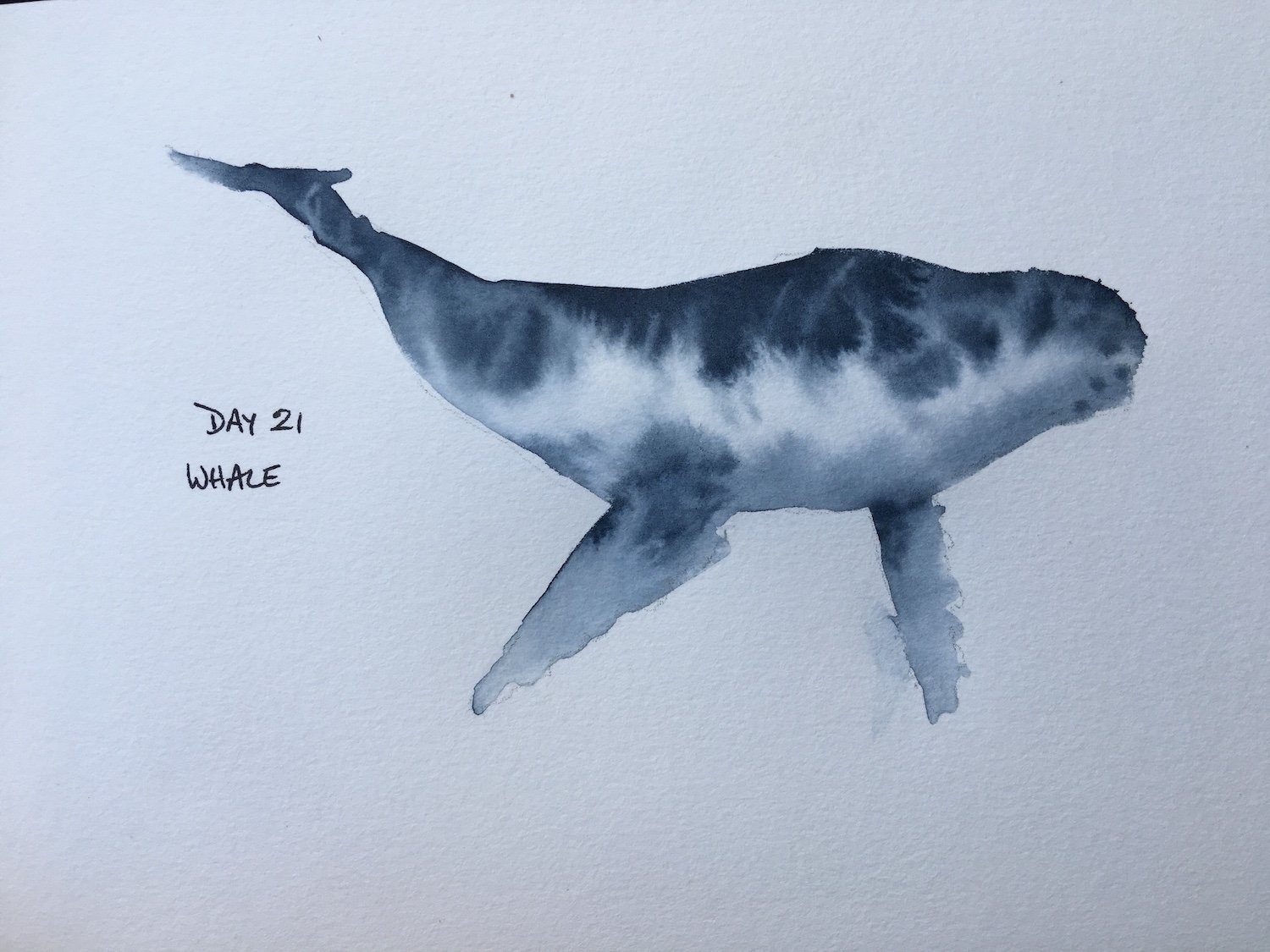 Whale watercolour