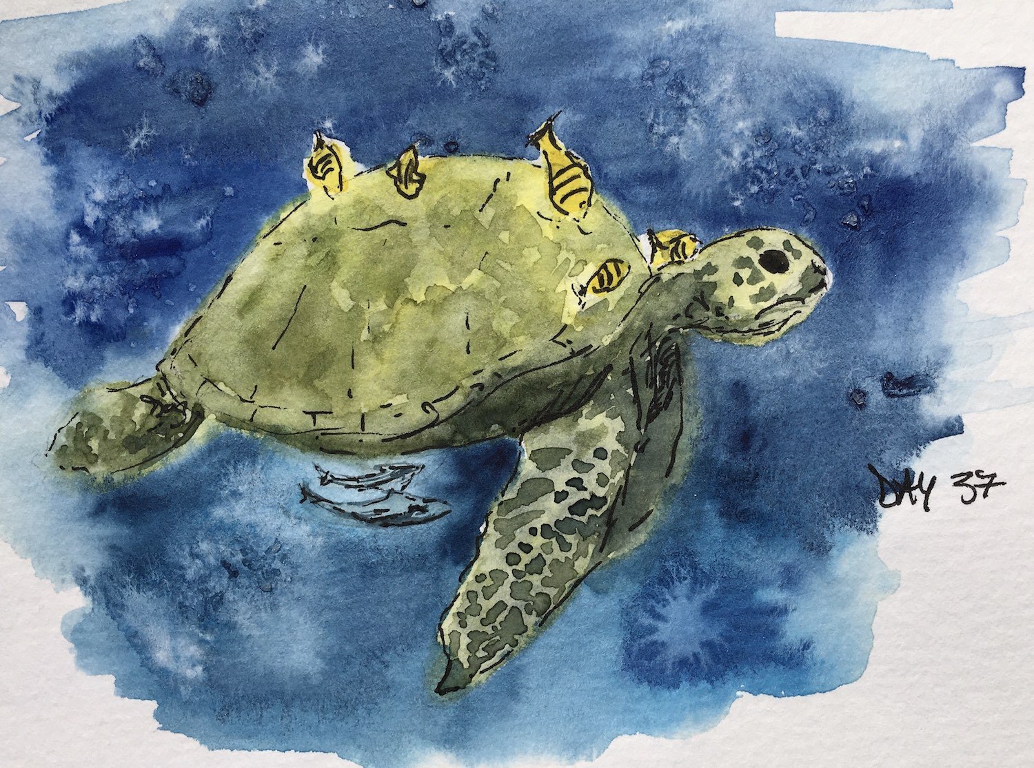Sea Turtle and his buddies watercolour