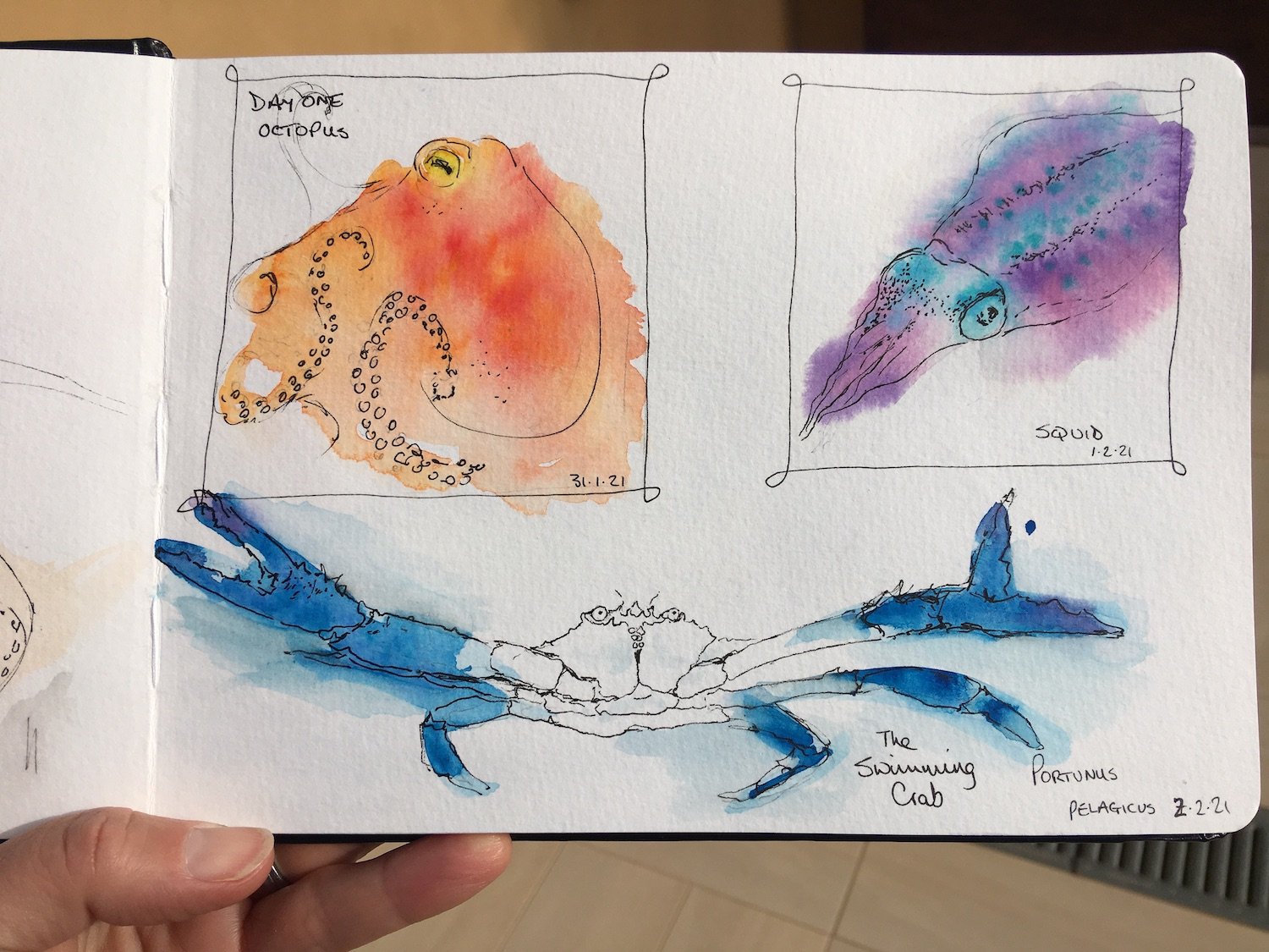 Sketchbook