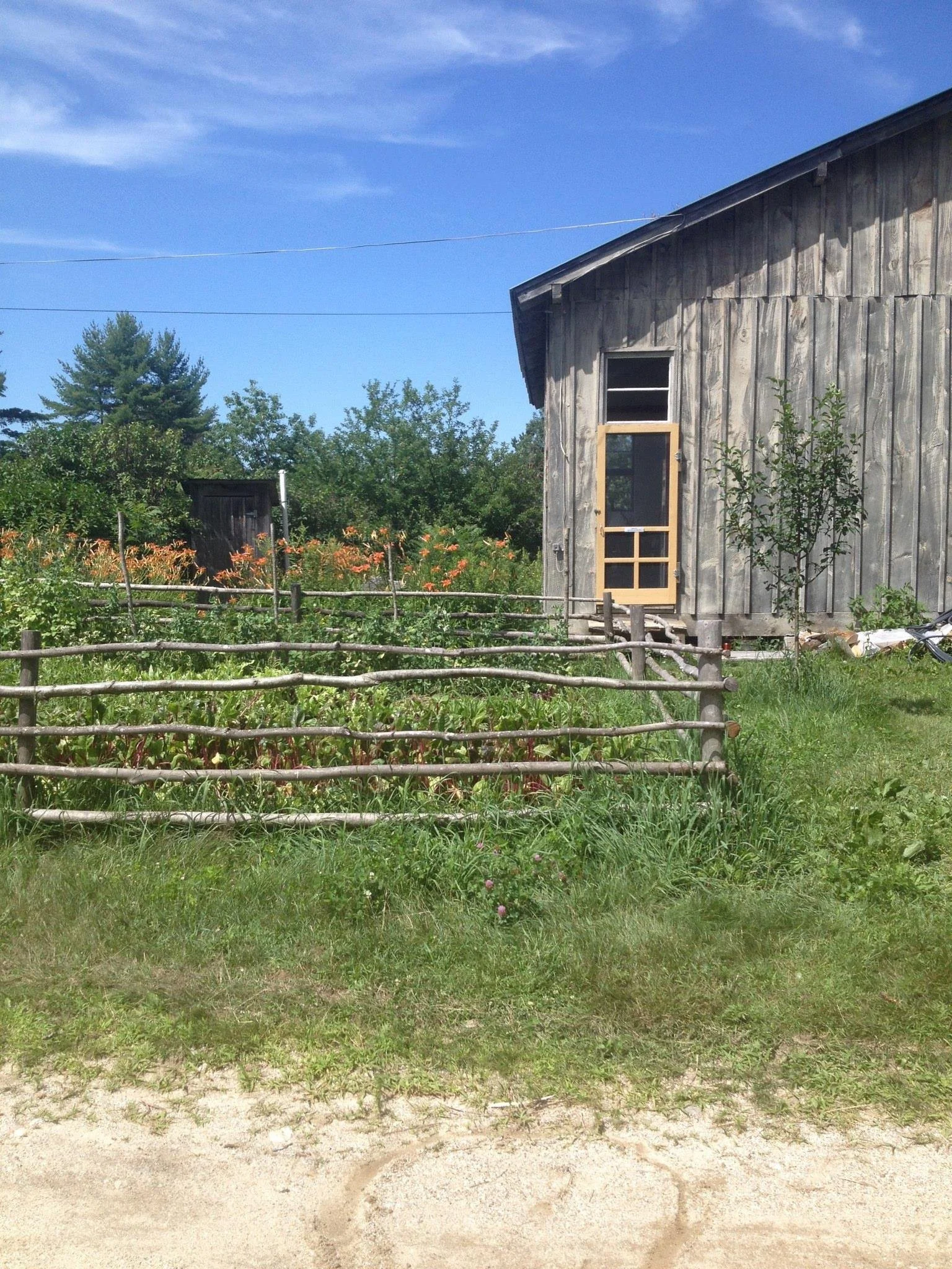 Part Two: Seed Starting & Cutting Propagation