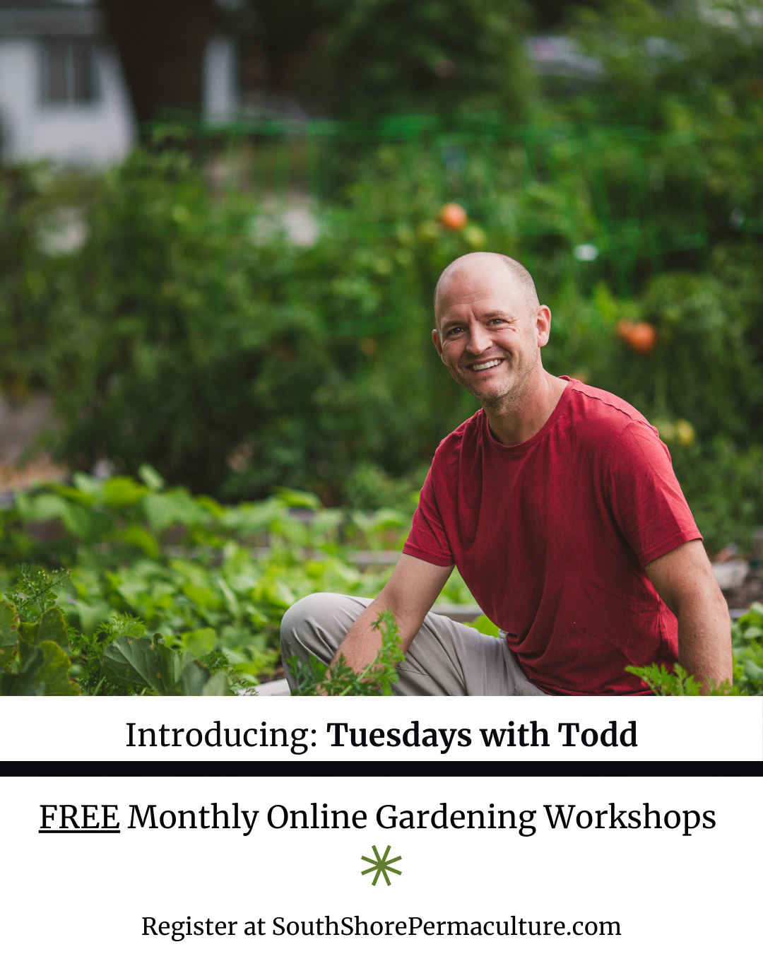 Tuesdays with Todd: Permaculture 101