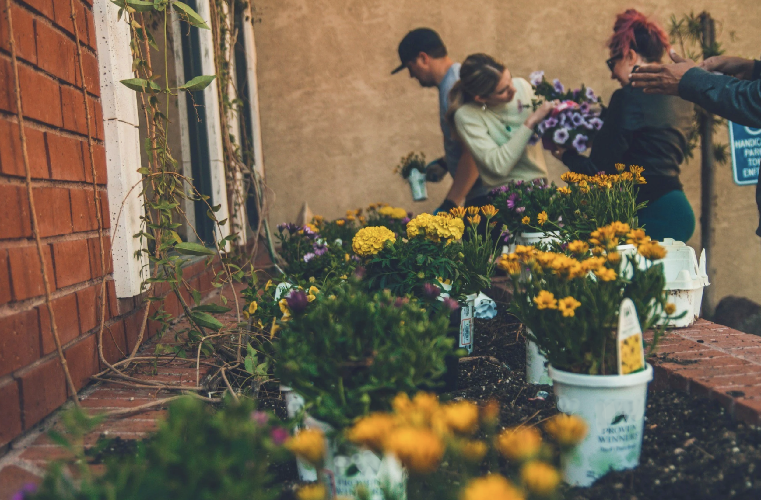 You Don’t Need 10 Acres to Practice Permaculture. You Need Community.