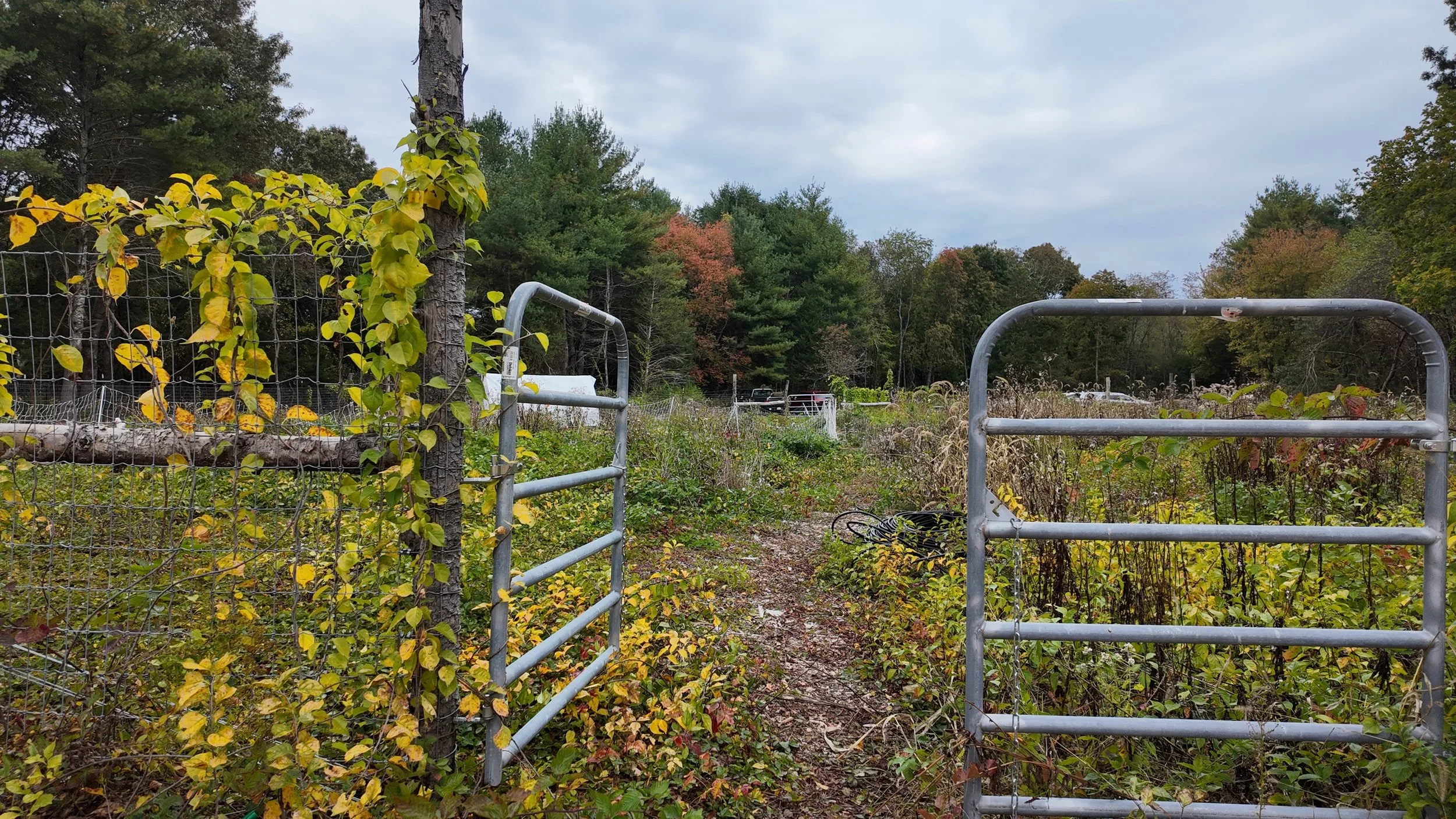 Earth Care, People Care, Fair Share: The Heart of Everything We Do