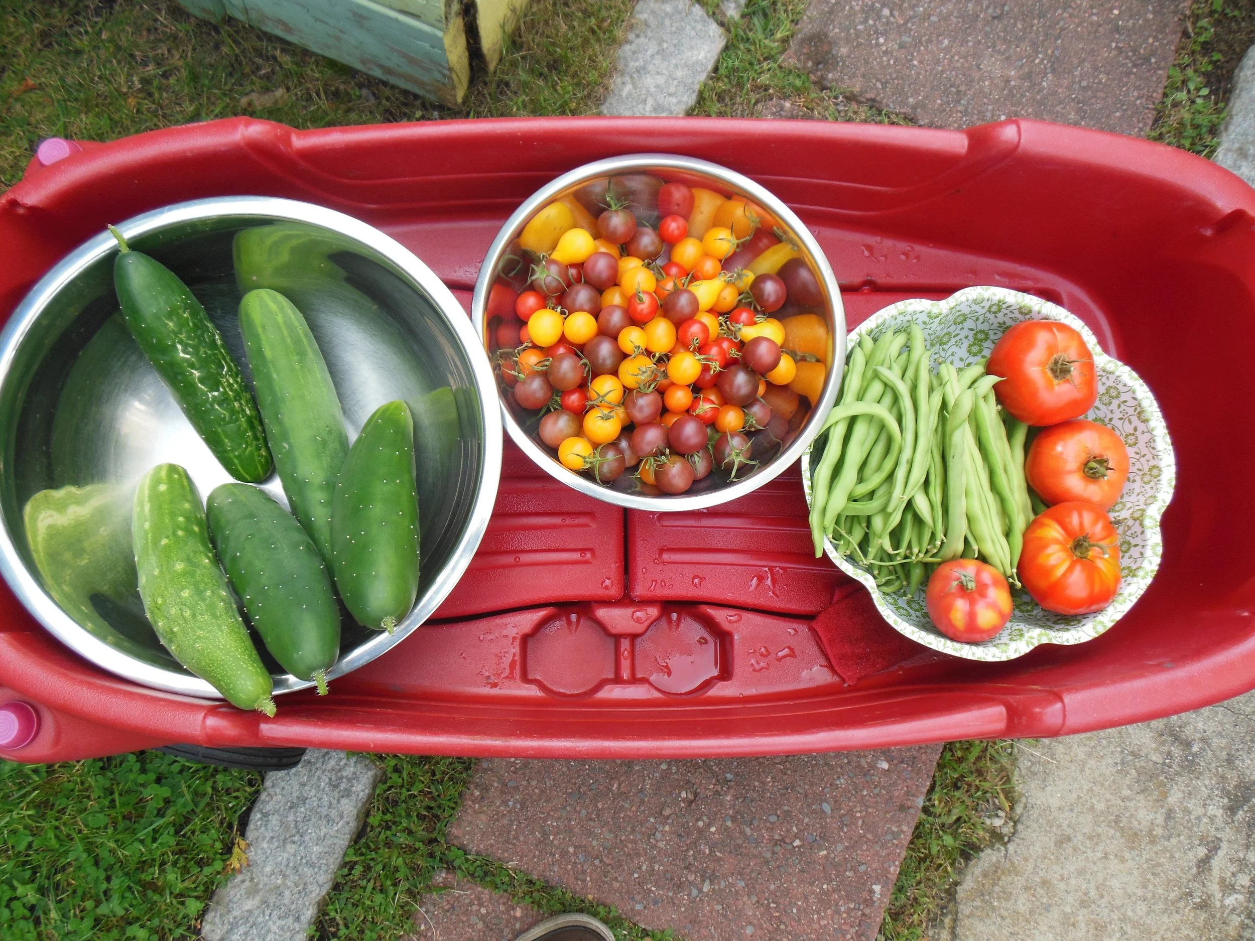 Tuesdays with Todd: Home Vegetable Gardening 201