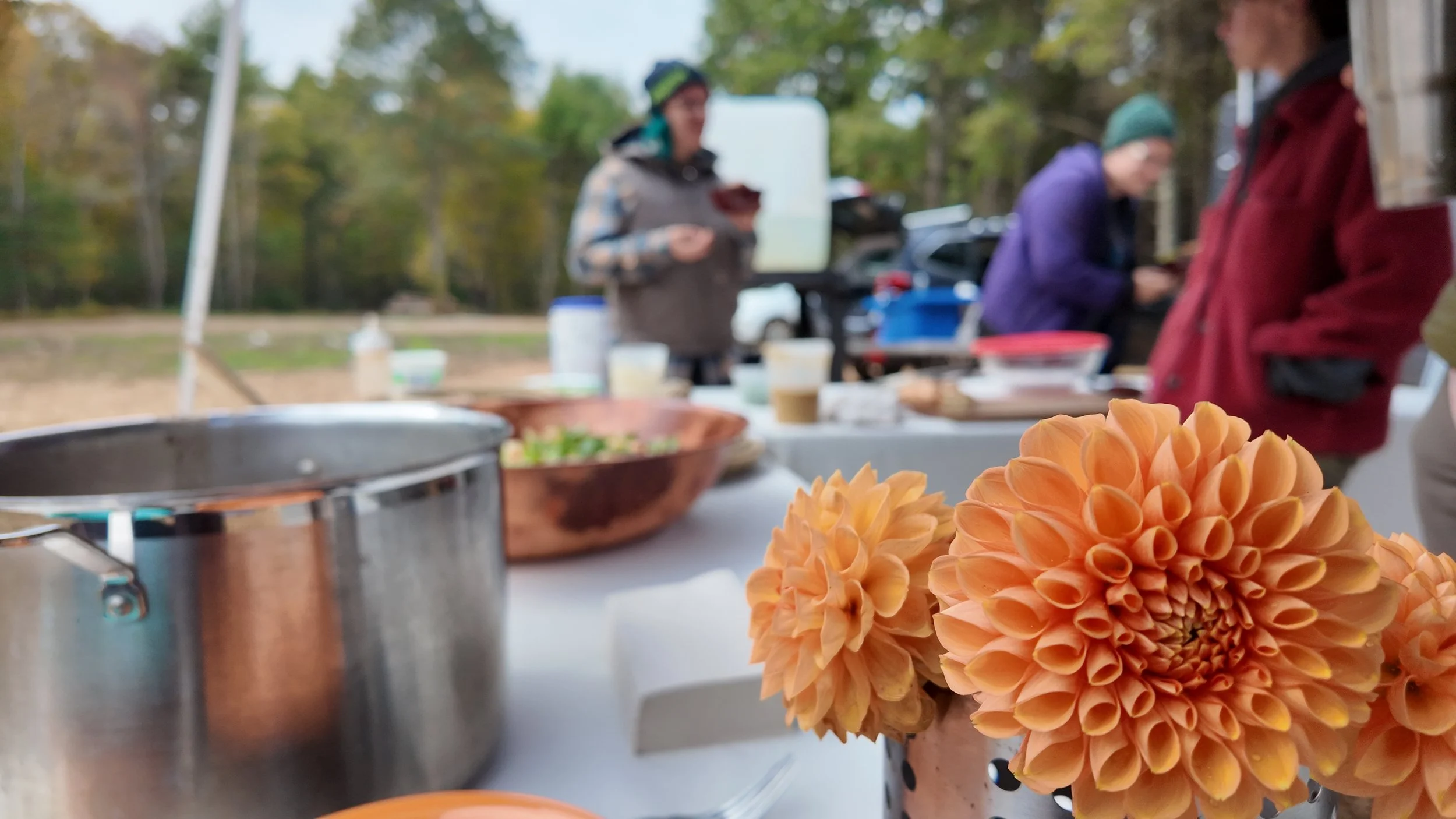 Tuesdays with Todd: Fall Gardening 101